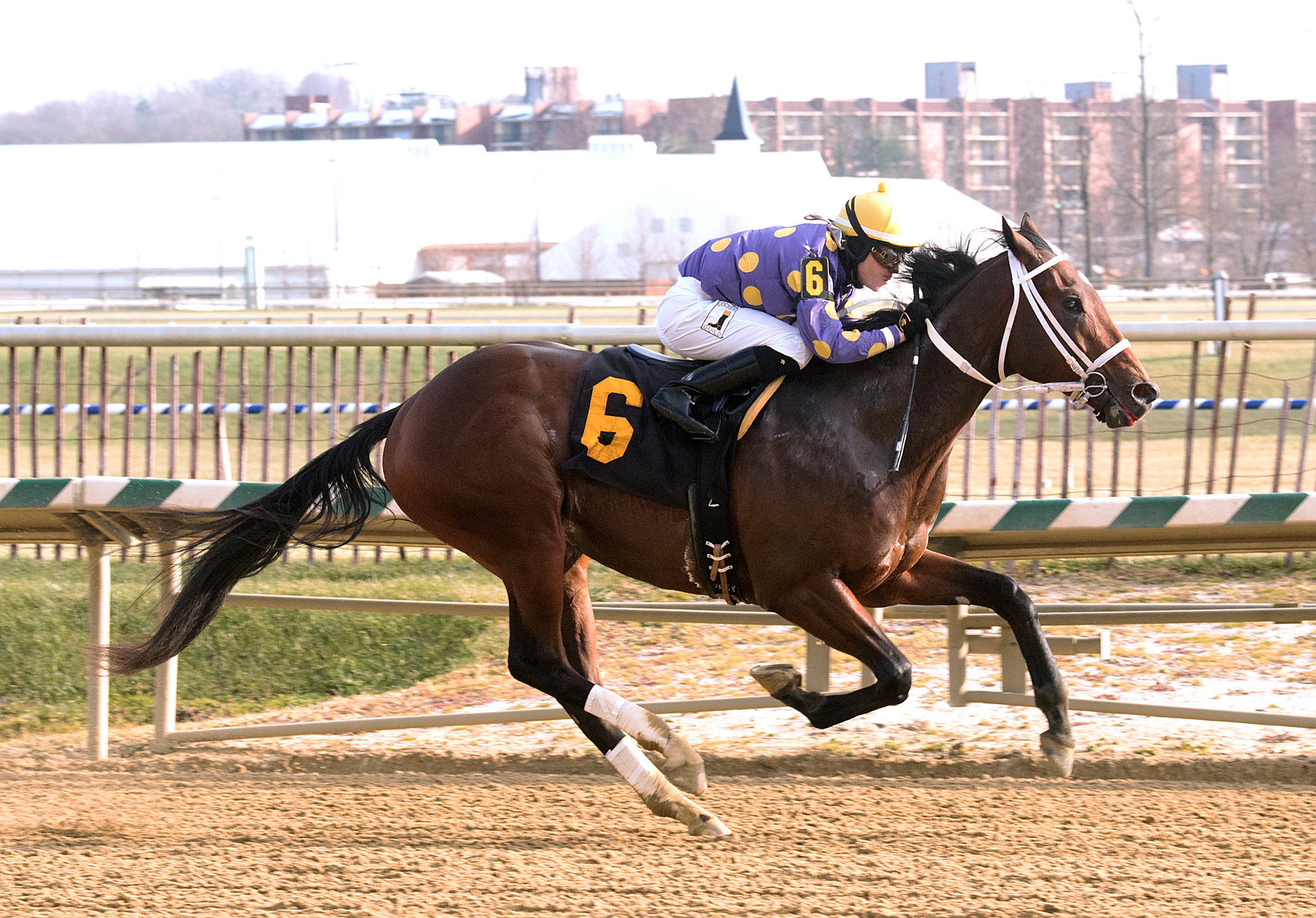Old Time Revival wins a Dec. 11 maiden race