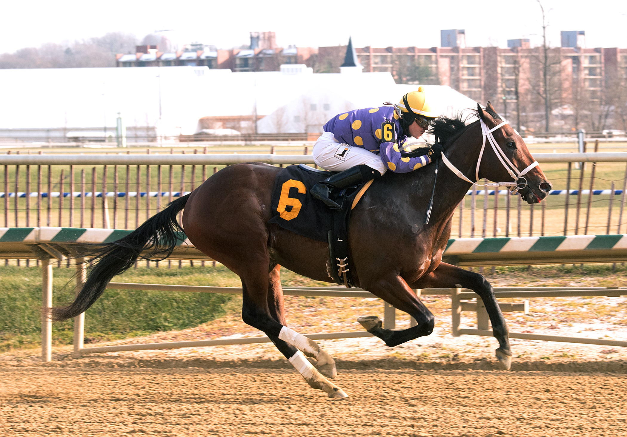 Old Time Revival wins a Dec. 11 maiden race