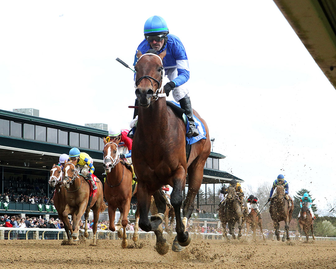 Old Homestead wins the 2022 Lafayette Stakes at Keeneland