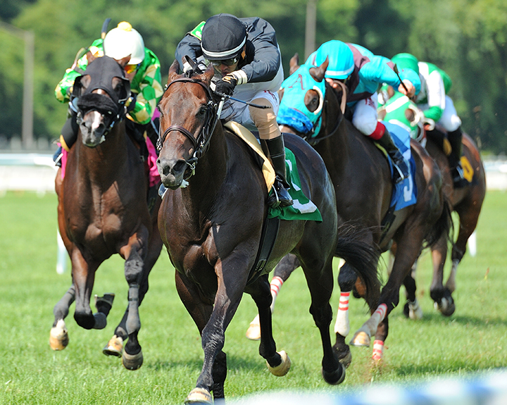 Oldies but Goodies wins the Ben's Cat Stakes at Laurel Park