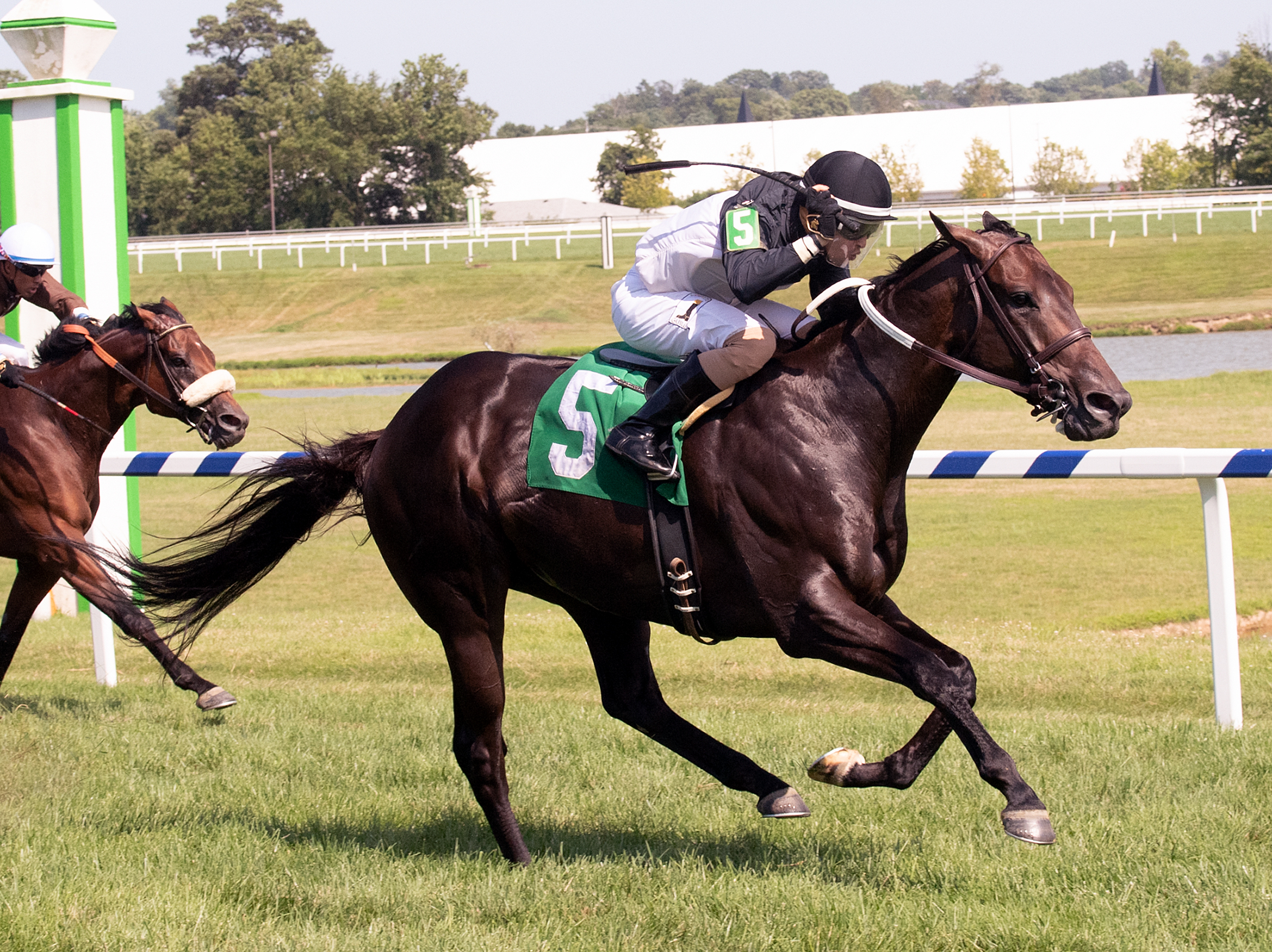 Oldies But Goodies wins the 2019 Ben's Cat Stakes