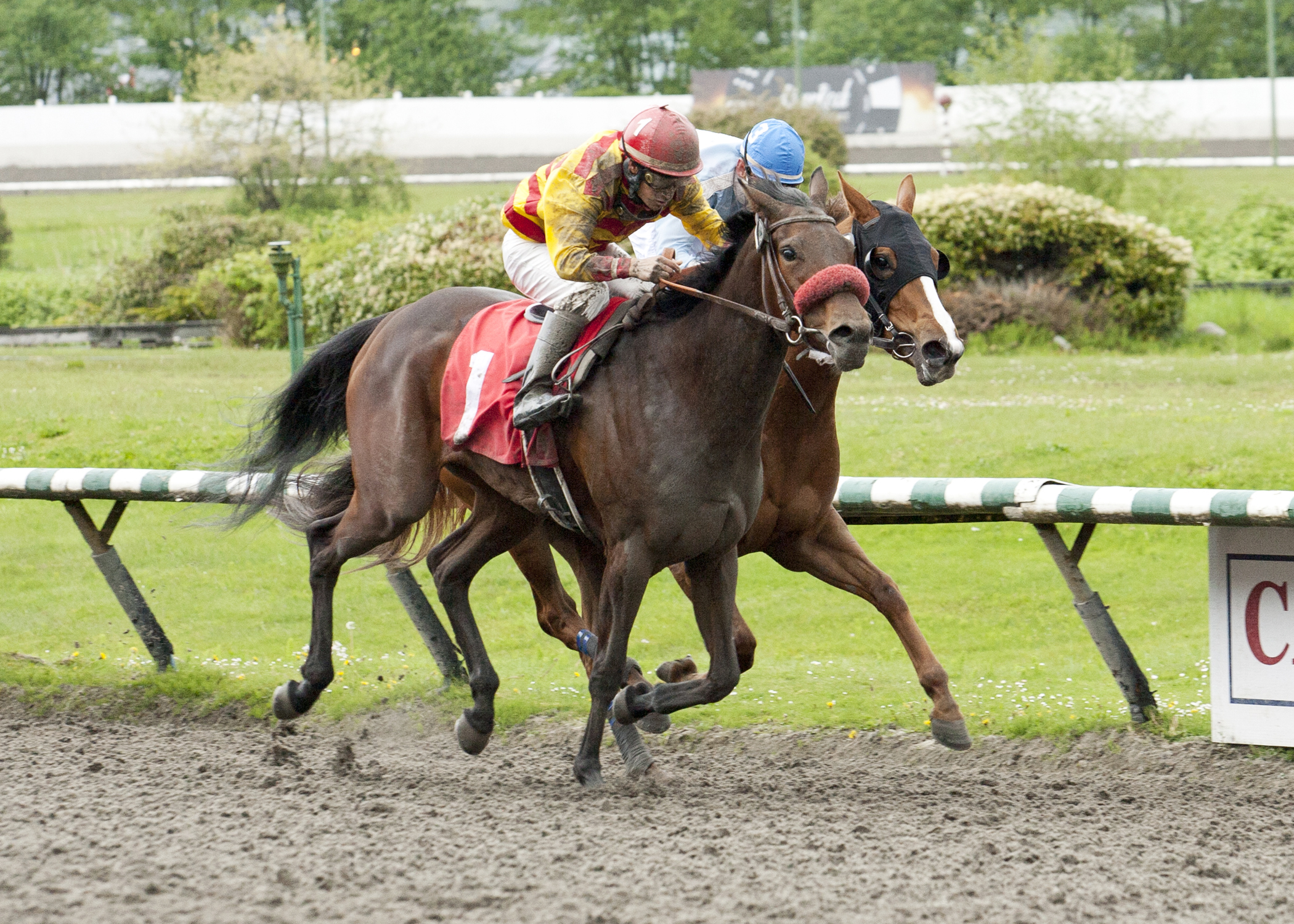 Ole's Miss wins the Ross McLeod Stakes