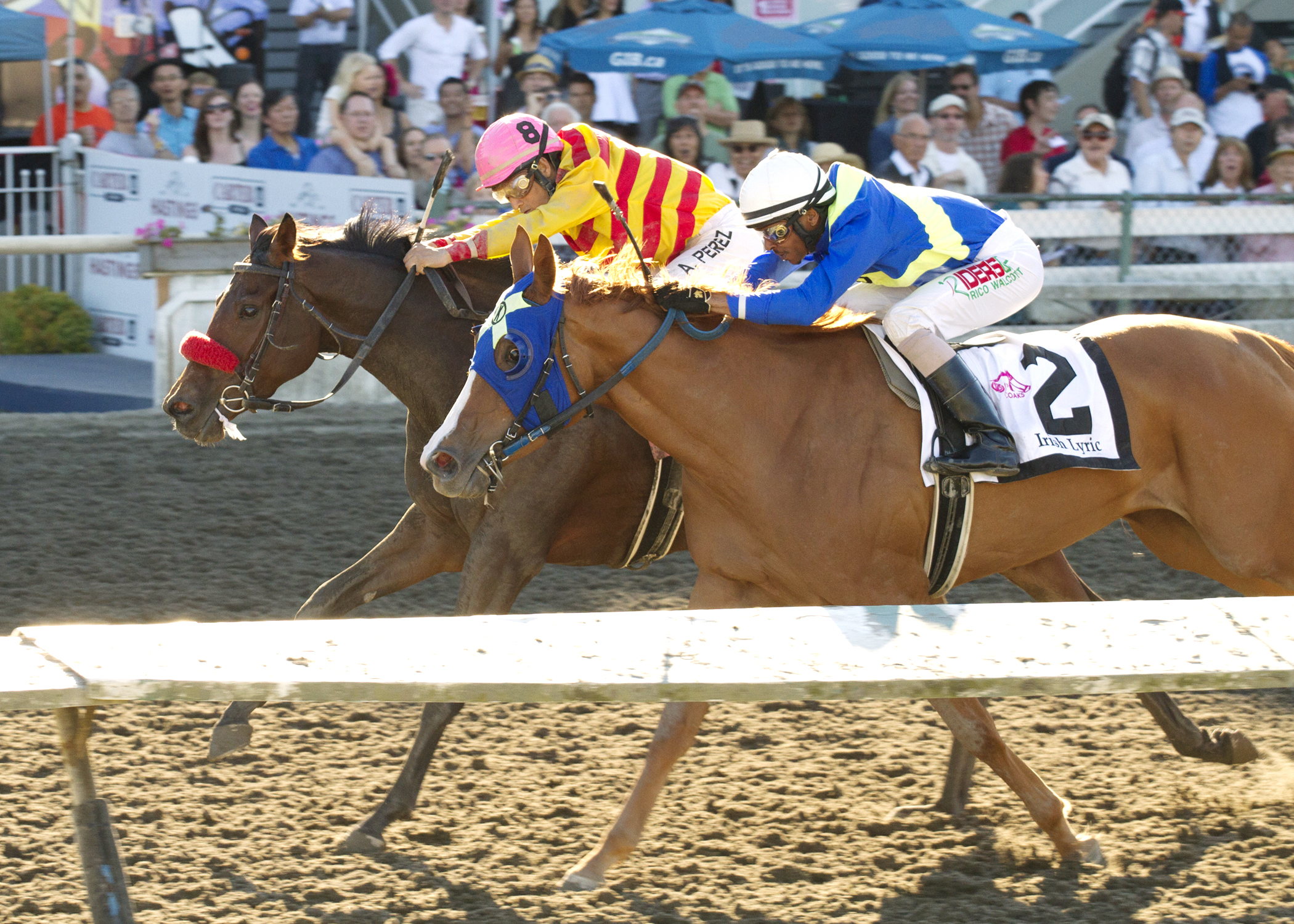 Ole's Miss wins the 2014 BC Oaks