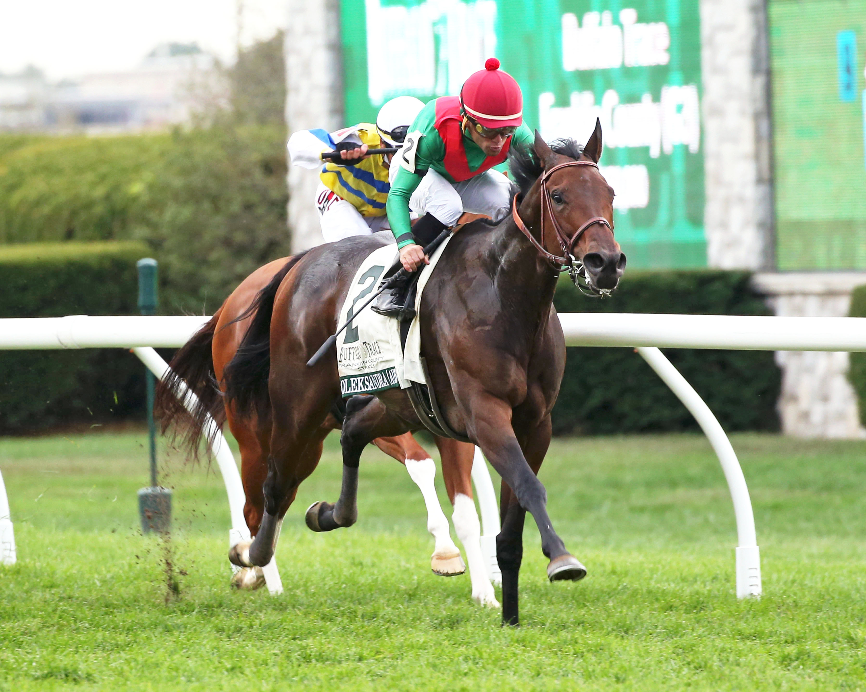 Oleksandra wins the Franklin County Stakes under Joel Rosario.CO 10-11-2019