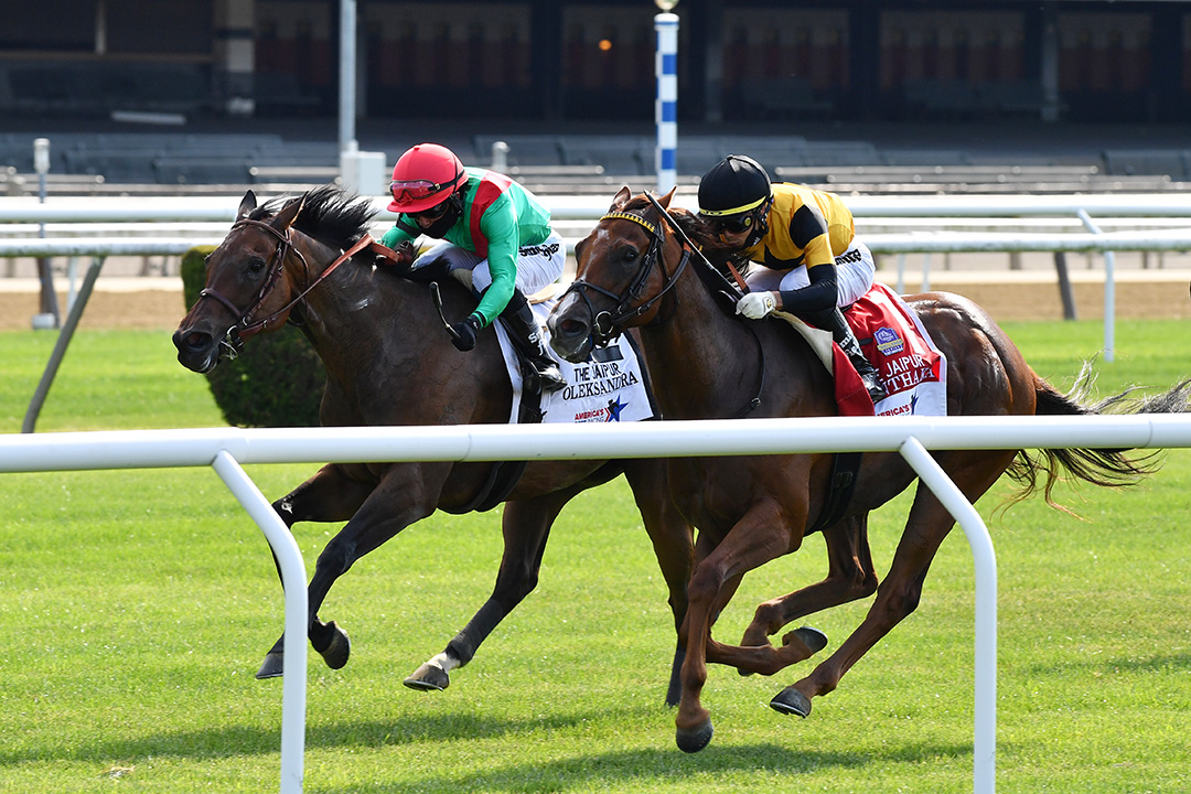 Kanthaka (right) finishes second to Oleksandra in the 2020 Jaipur Stakes at Belmont