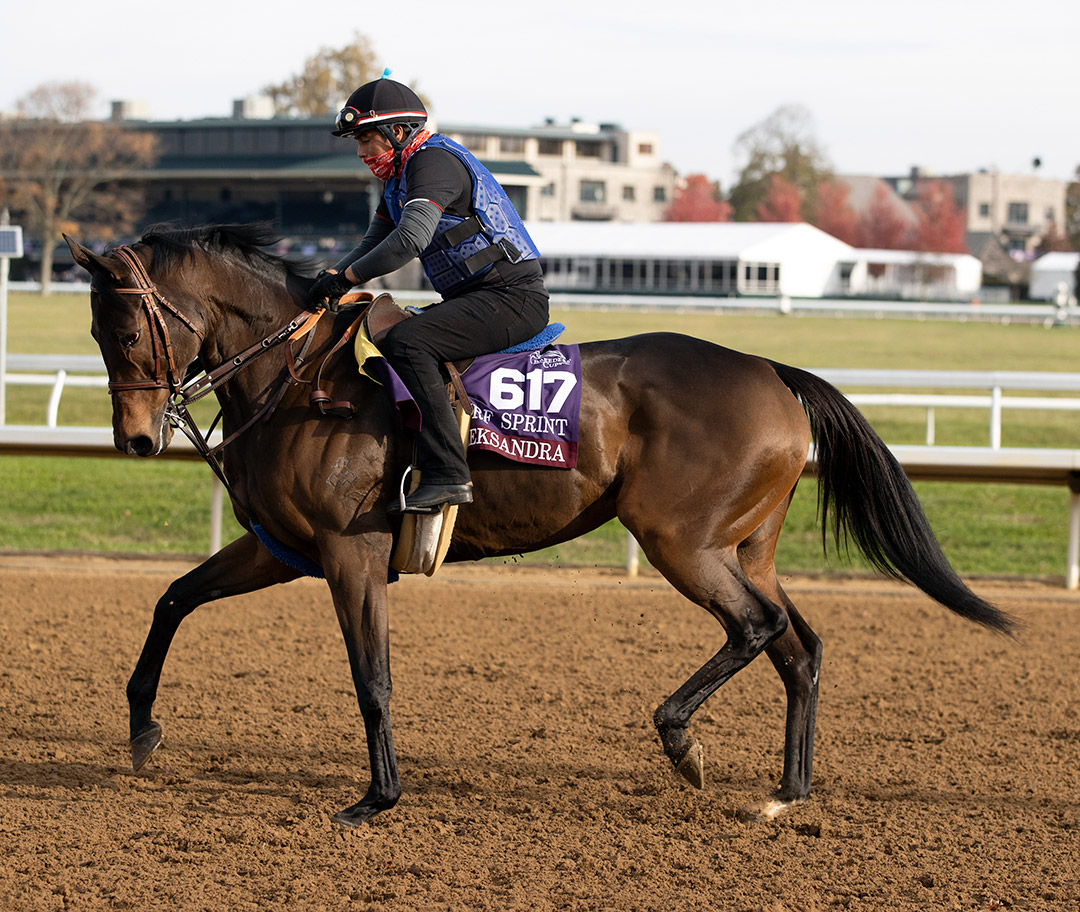 Oleksandra at Keeneland Racecourse on Nov. 5