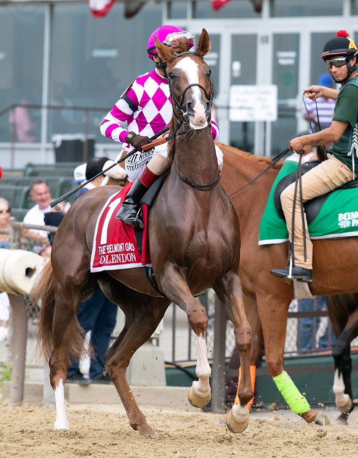 Olendon at Saratoga Race Course in September 2019