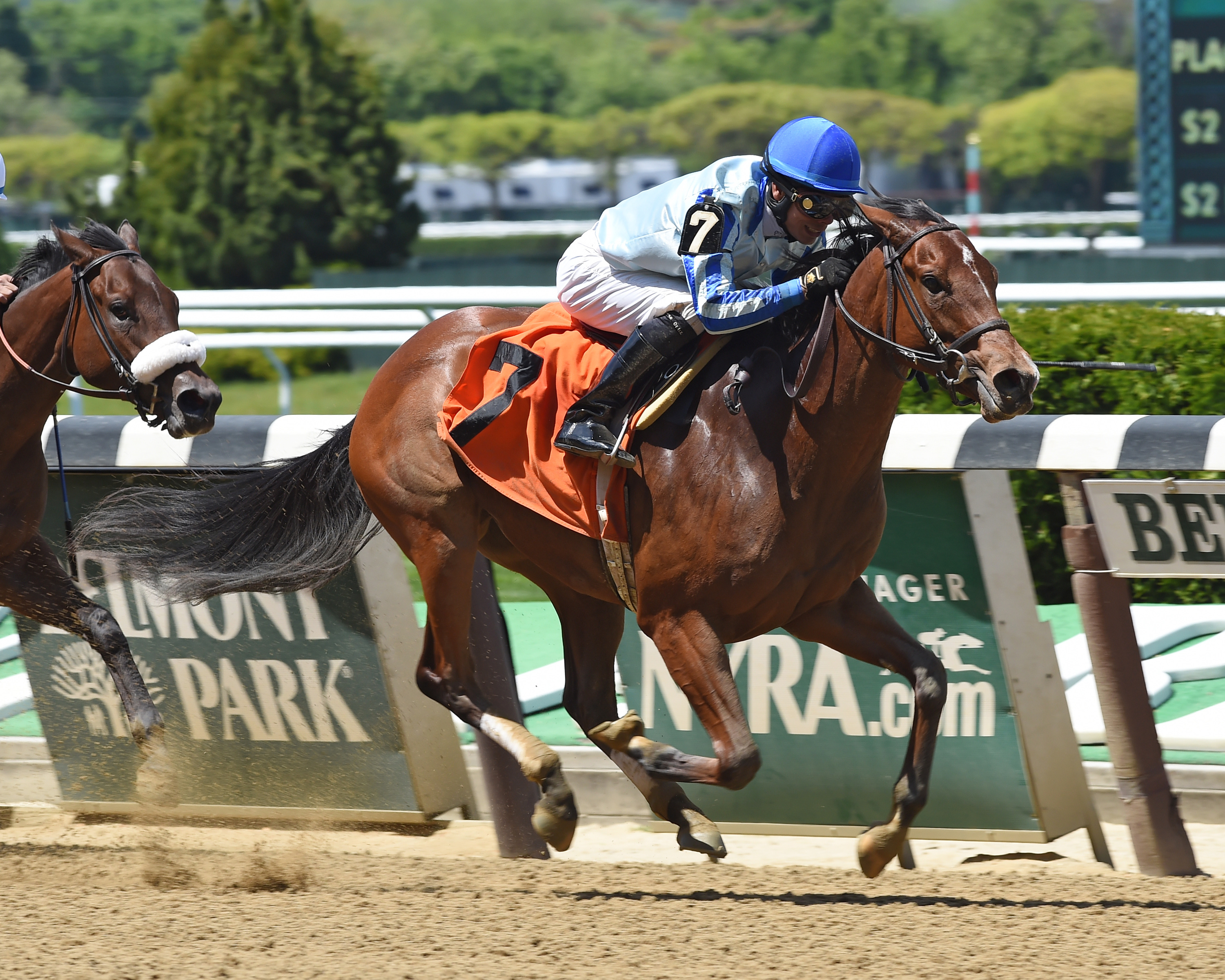 Olive Branch wins a maiden race at Belmont