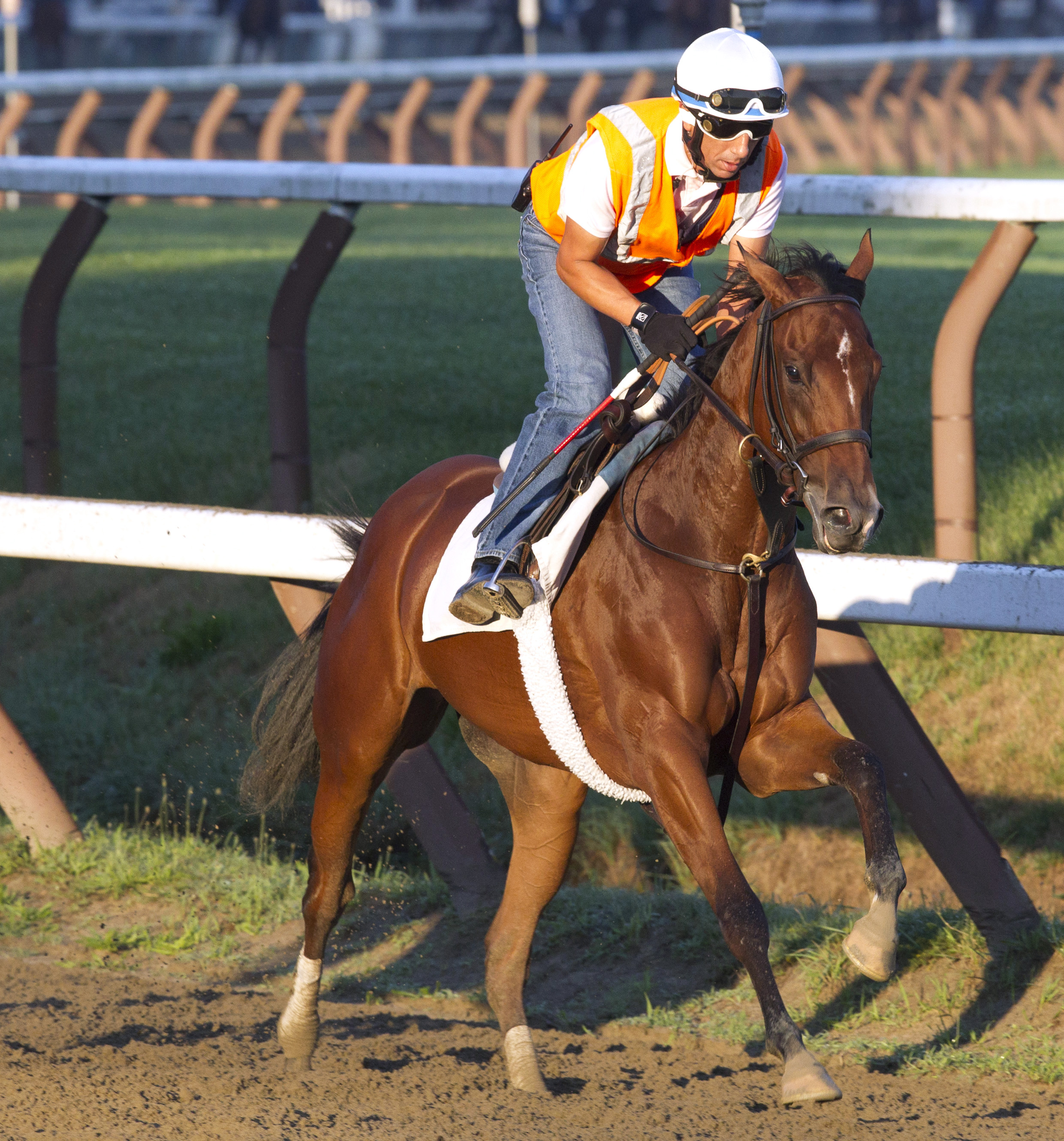 Olive Branch trains at Saratoga on Aug. 5