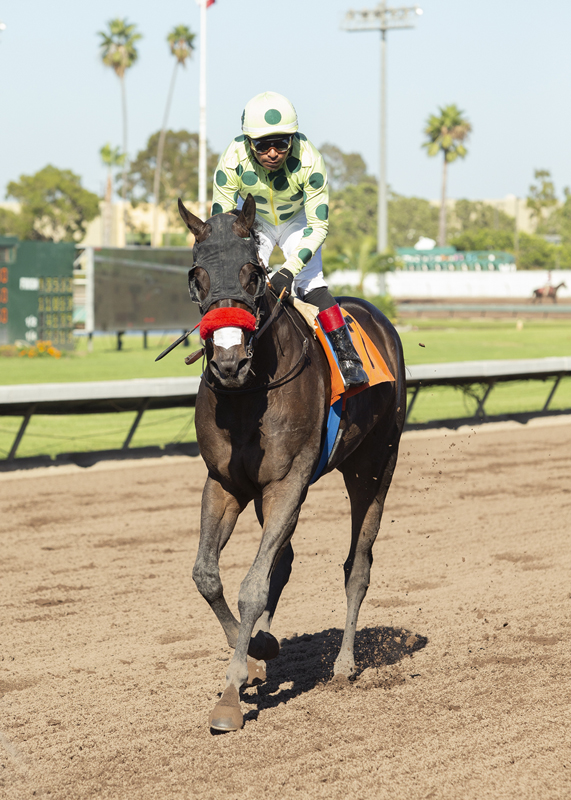 Oliver following victory in the 2019 E.B. Johnston Stakes