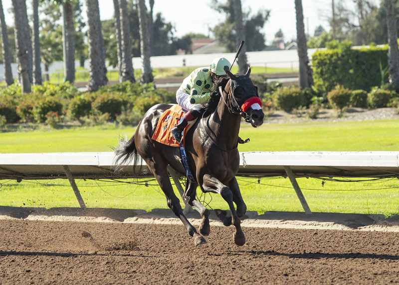 Oliver wins the 2019 E.B. Johnston Stakes