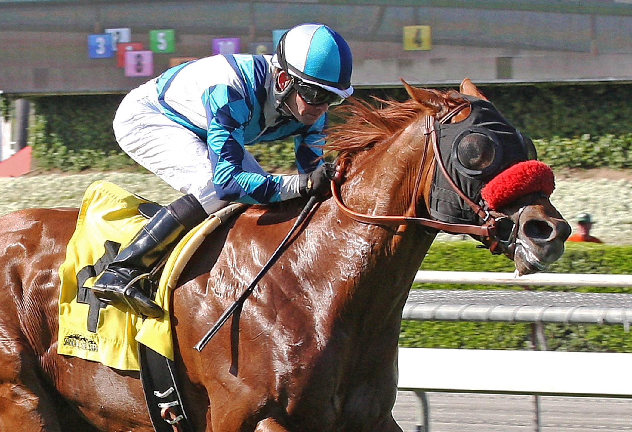 Oliver's Tale wins an allowance race