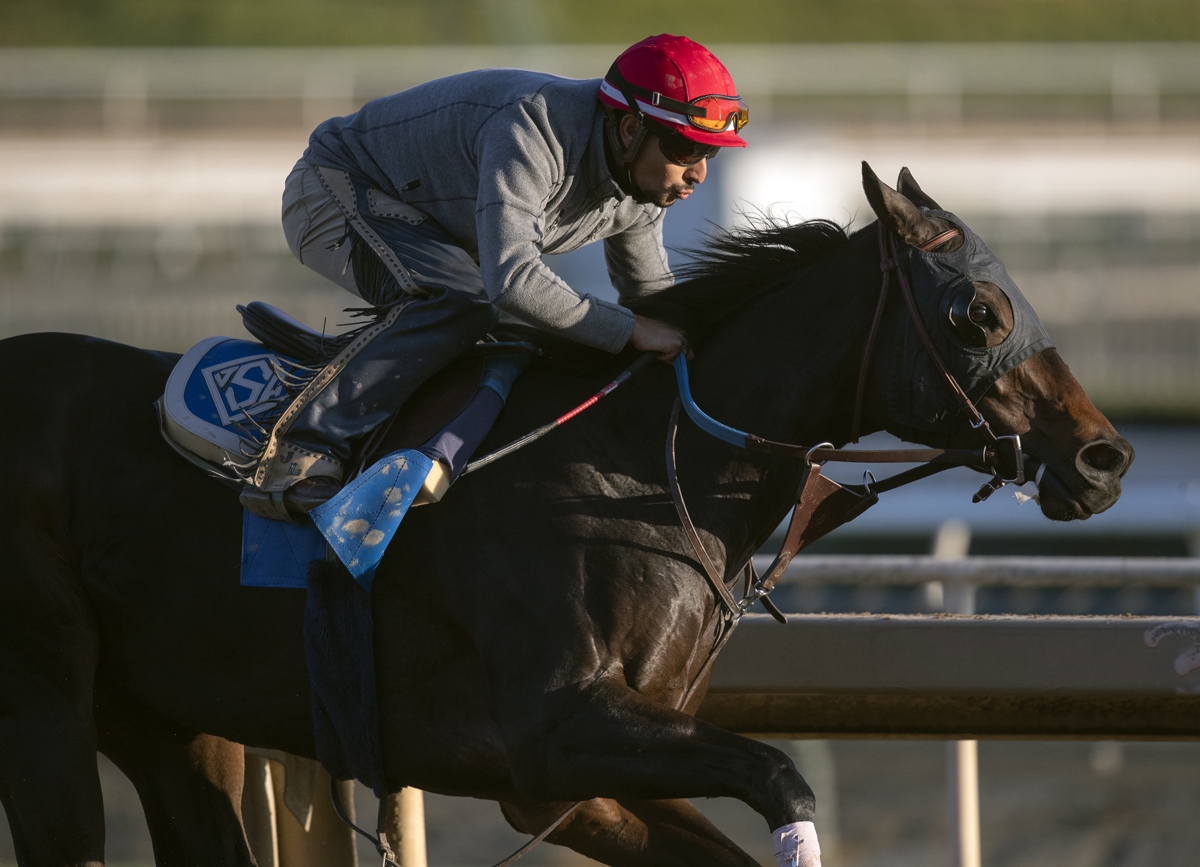 Ollie's Candy trains at Santa Anita on 10.19.19