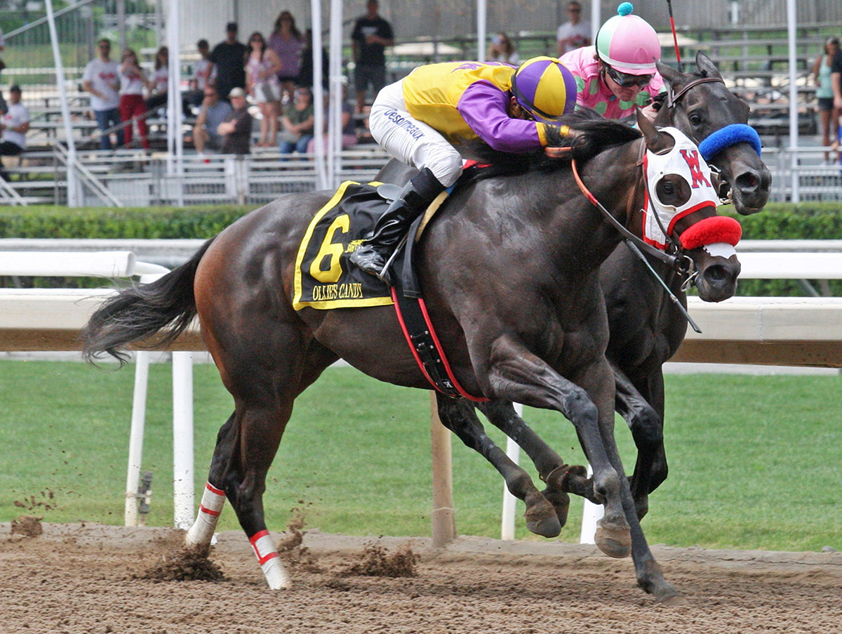 Ollie-s Candy wins the Summertime Oaks