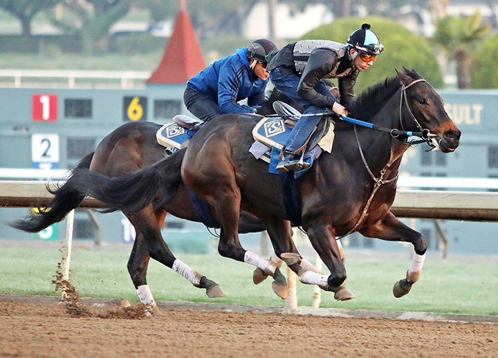 Ollie's Candy trains at Santa Anita Park on Feb. 24