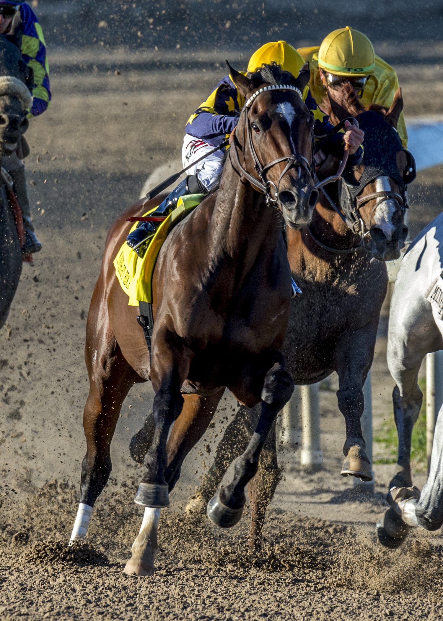 Olympiad, Mineshaft stakes