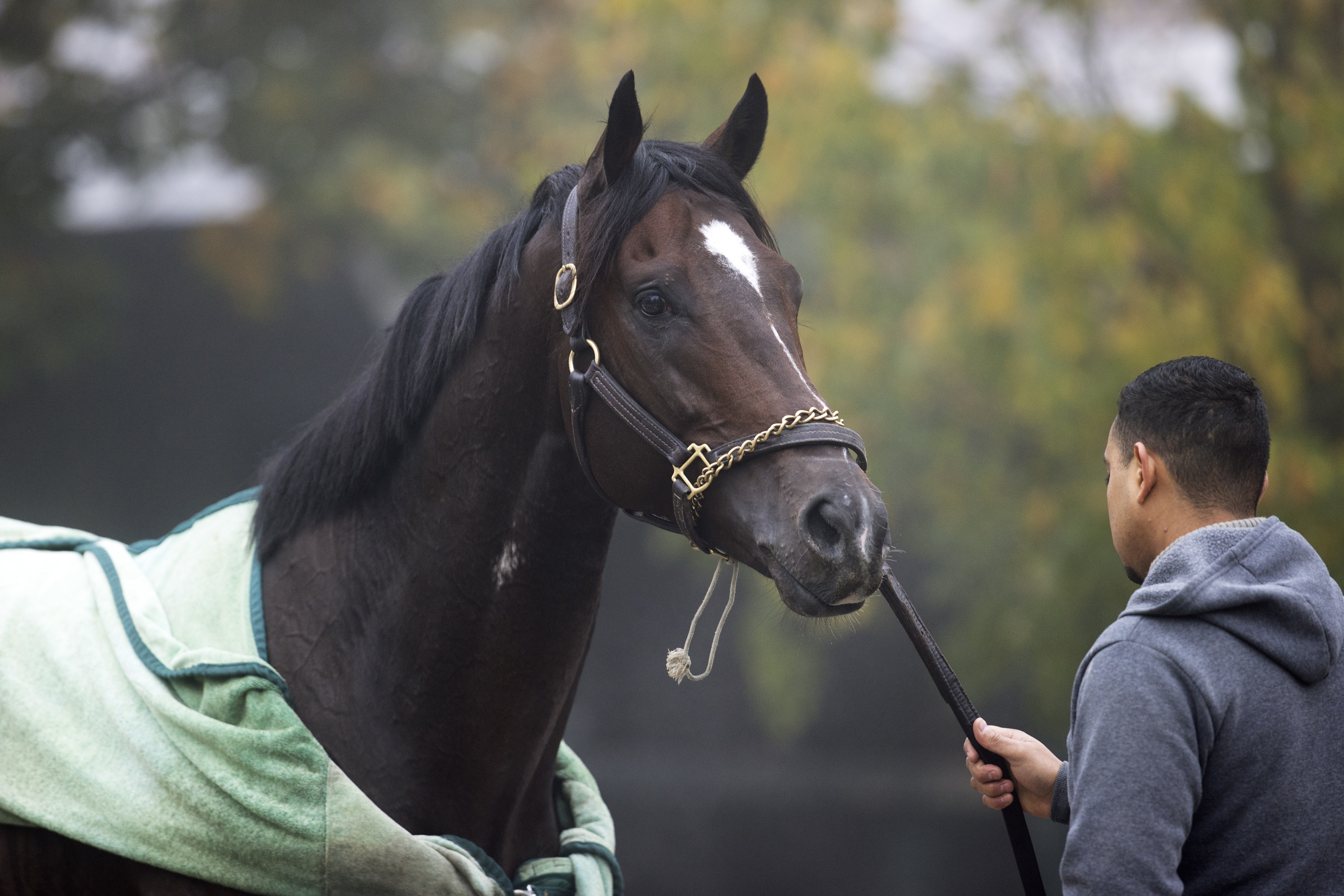 Olympiad at Saratoga Oct 15 2022