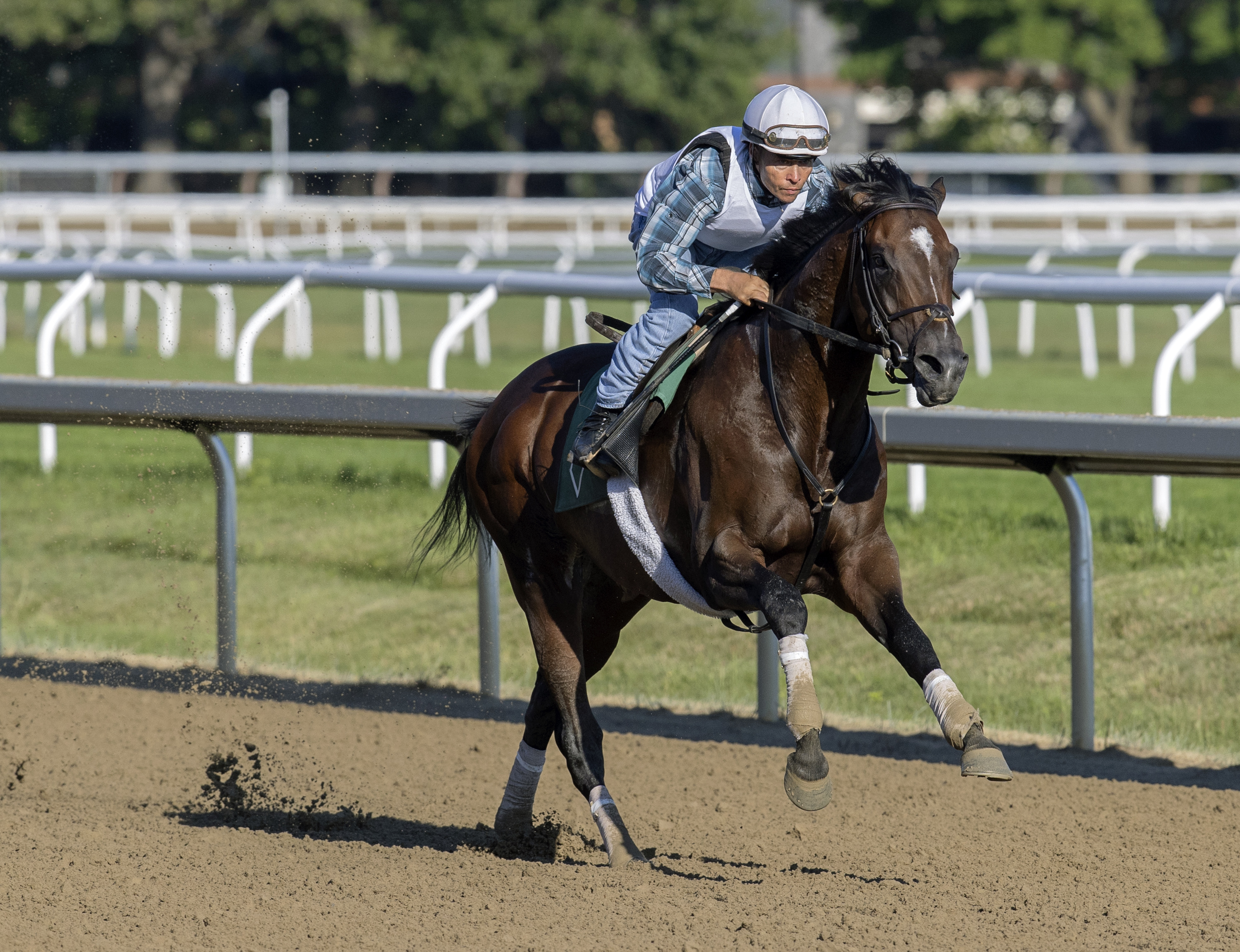 Olympiad works at Saratoga on July 31 2022