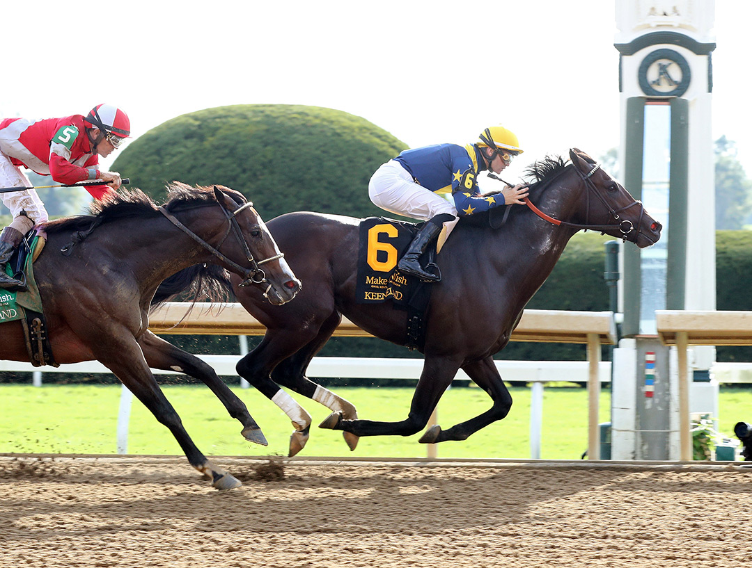 Olympiad wins an Oct. 14 allowance at Keeneland