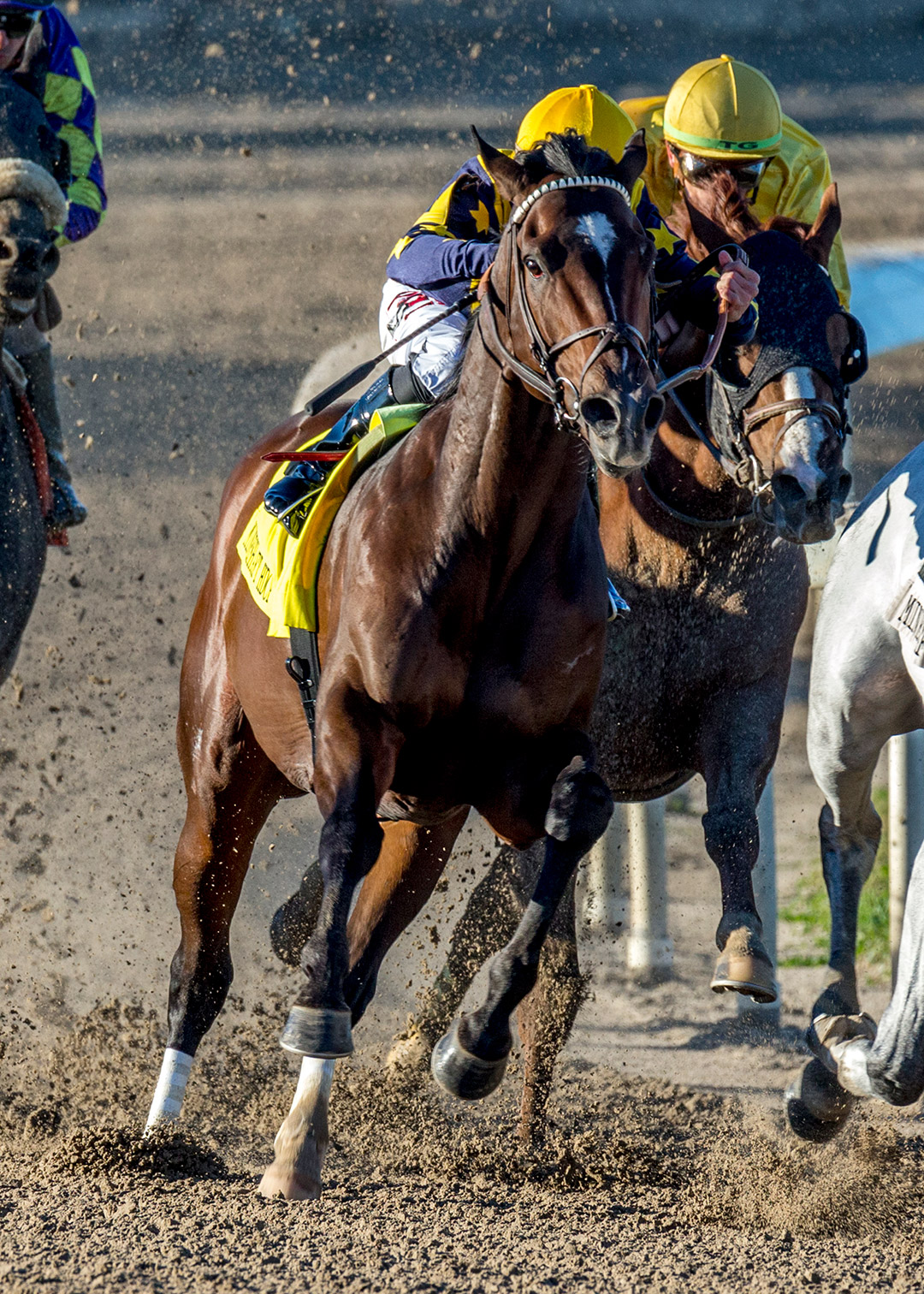 Olympiad wins the 2022 Mineshaft Stakes at Fair Grounds