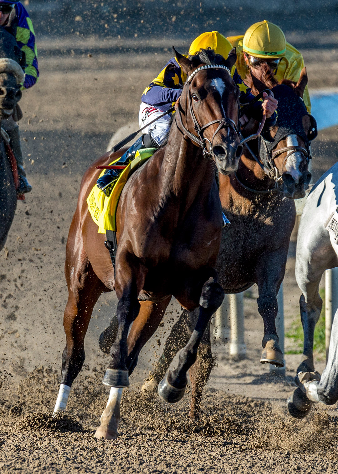 Olympiad wins the 2022 Mineshaft Stakes at Fair Grounds