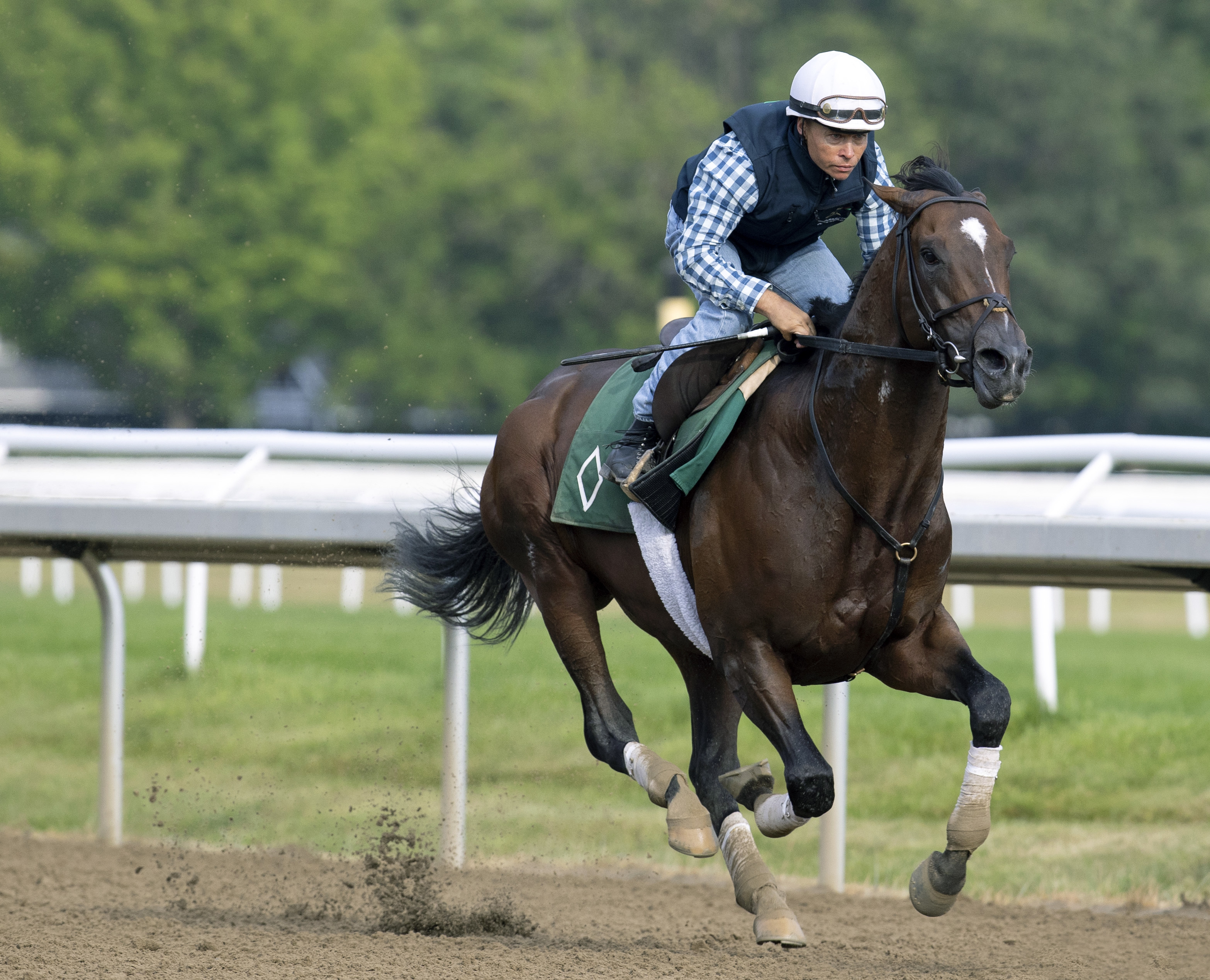 Olympiad/Saratoga