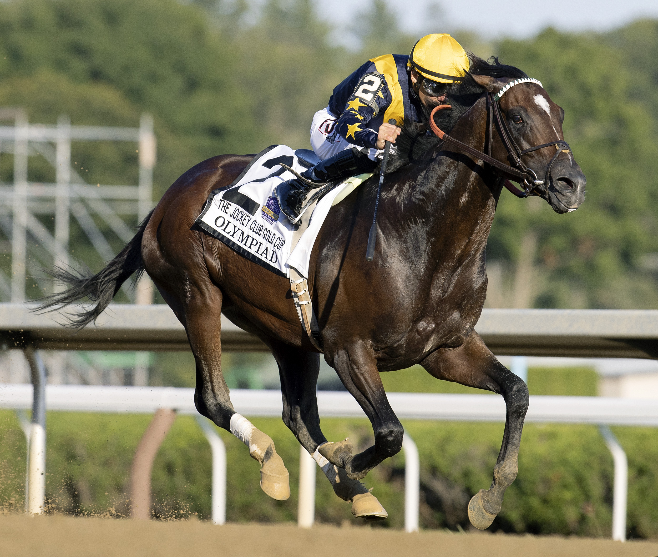 Olympiad - Jockey Club Gold Gup 2022