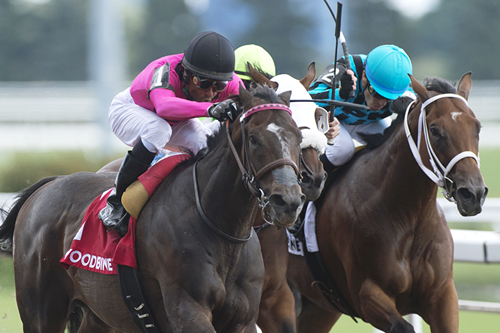 Olympic Runner wins the 2019 King Corrie Stakes at Woodbine