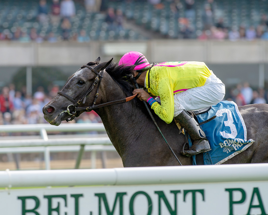 Olympico wins the 2019 Fort Marcy Stakes at Belmont Park
