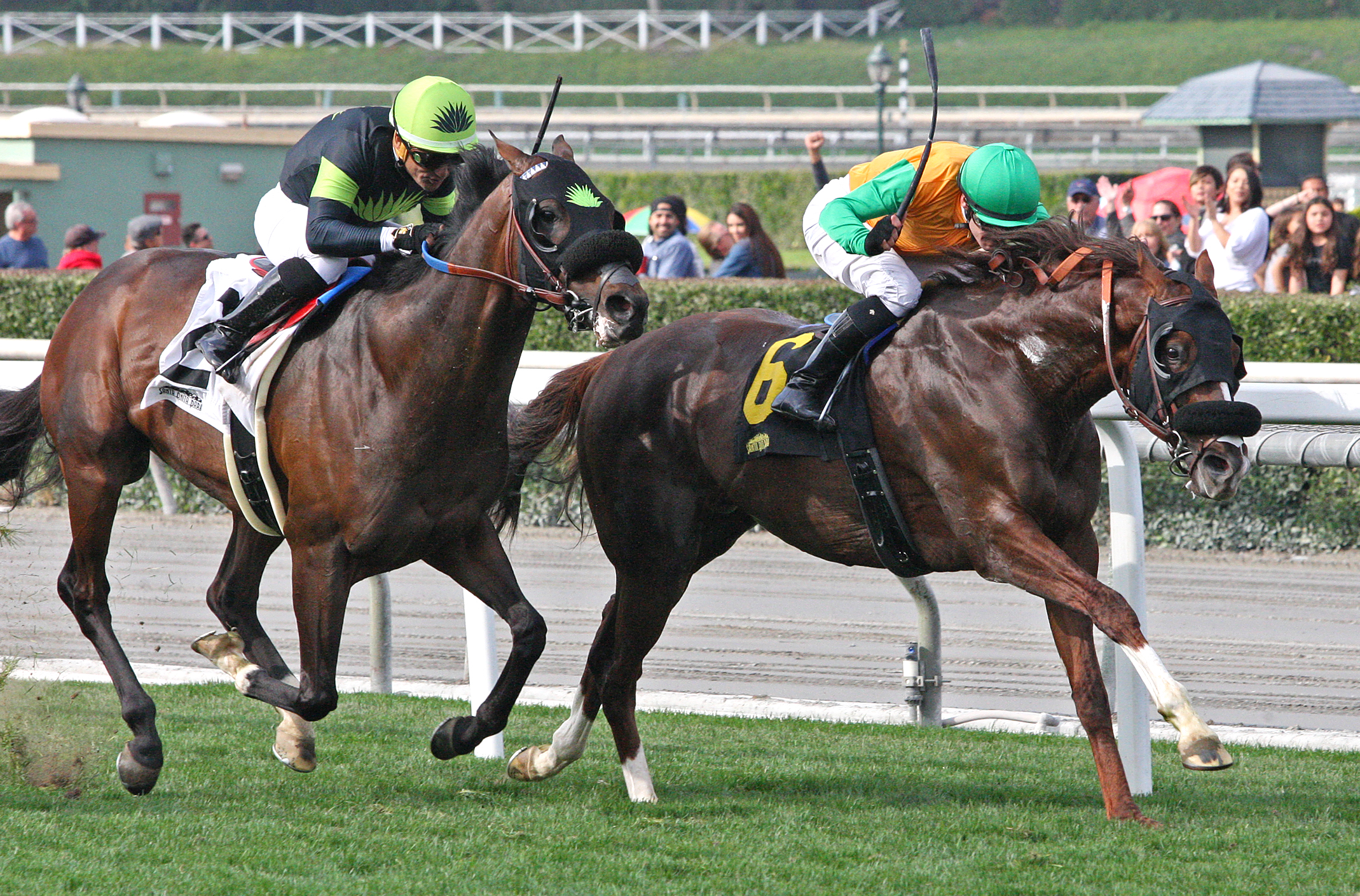 Om wins the 2018 Thunder Road Stakes