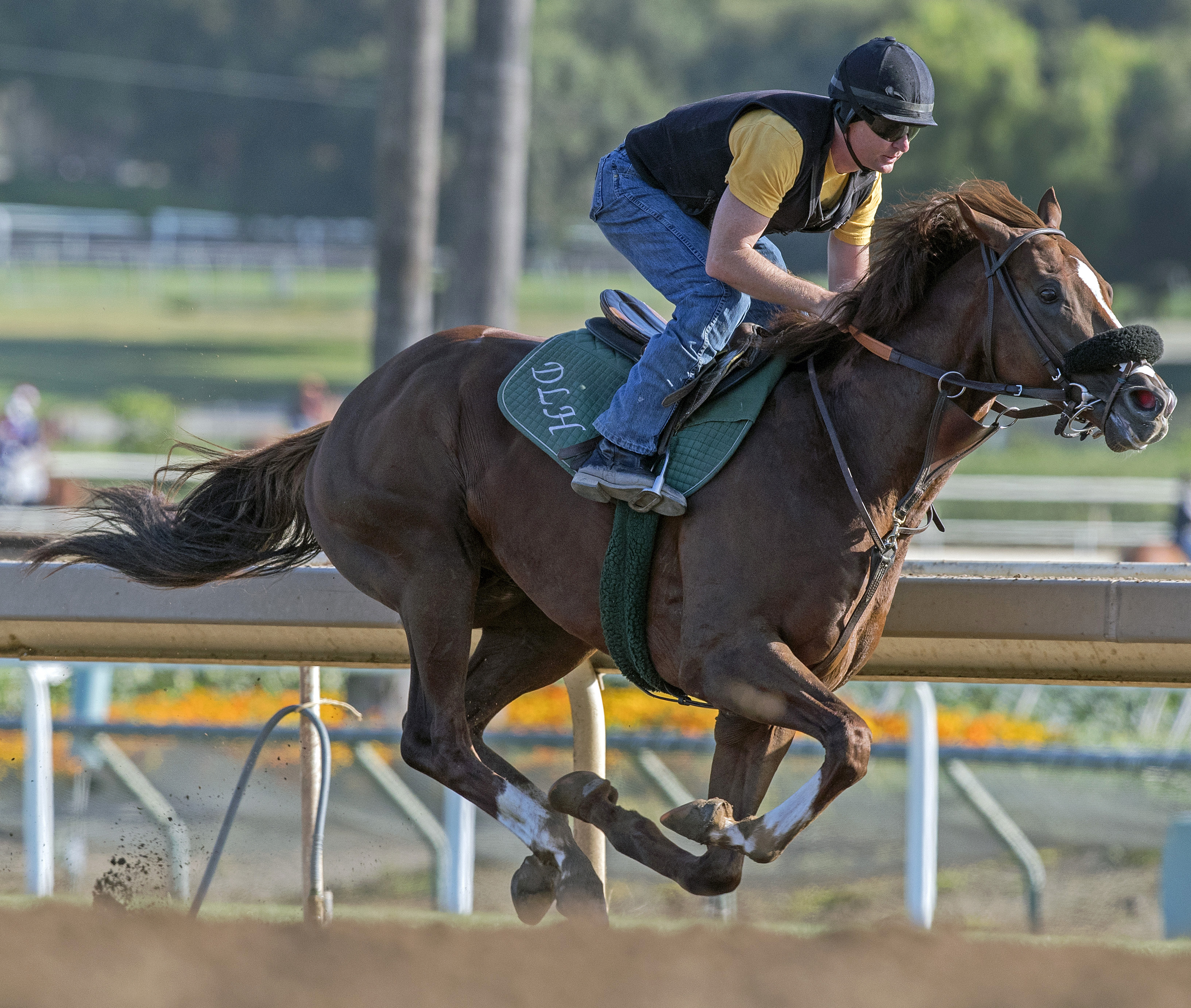 Om trains at Santa Anita on June 28