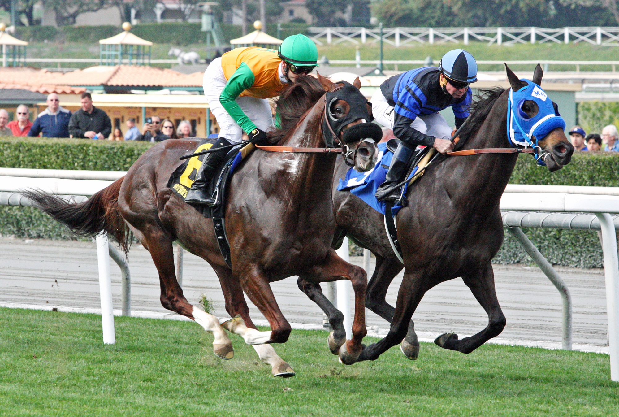 Blackjackcat finishes fifth in the Thunder Road Stakes
