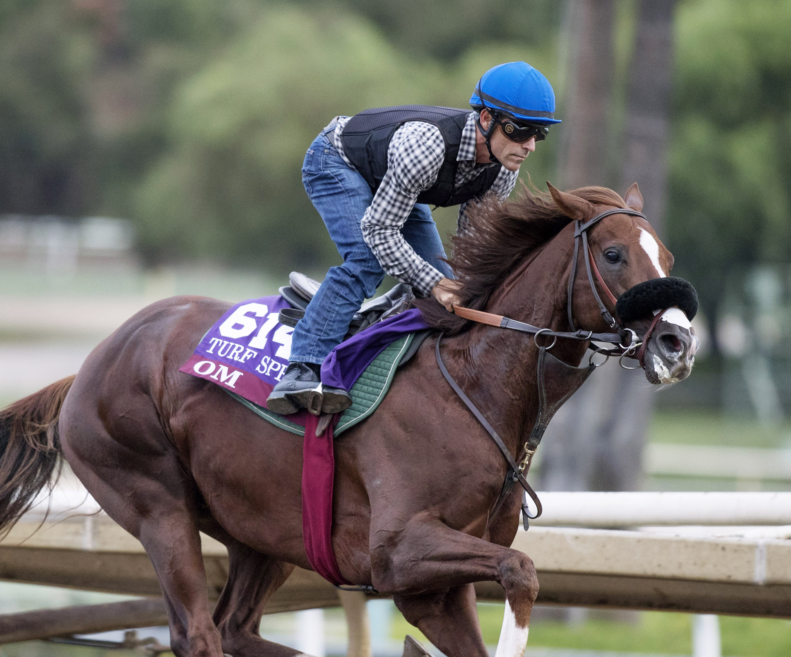 Om trains at Santa Anita on Oct. 31