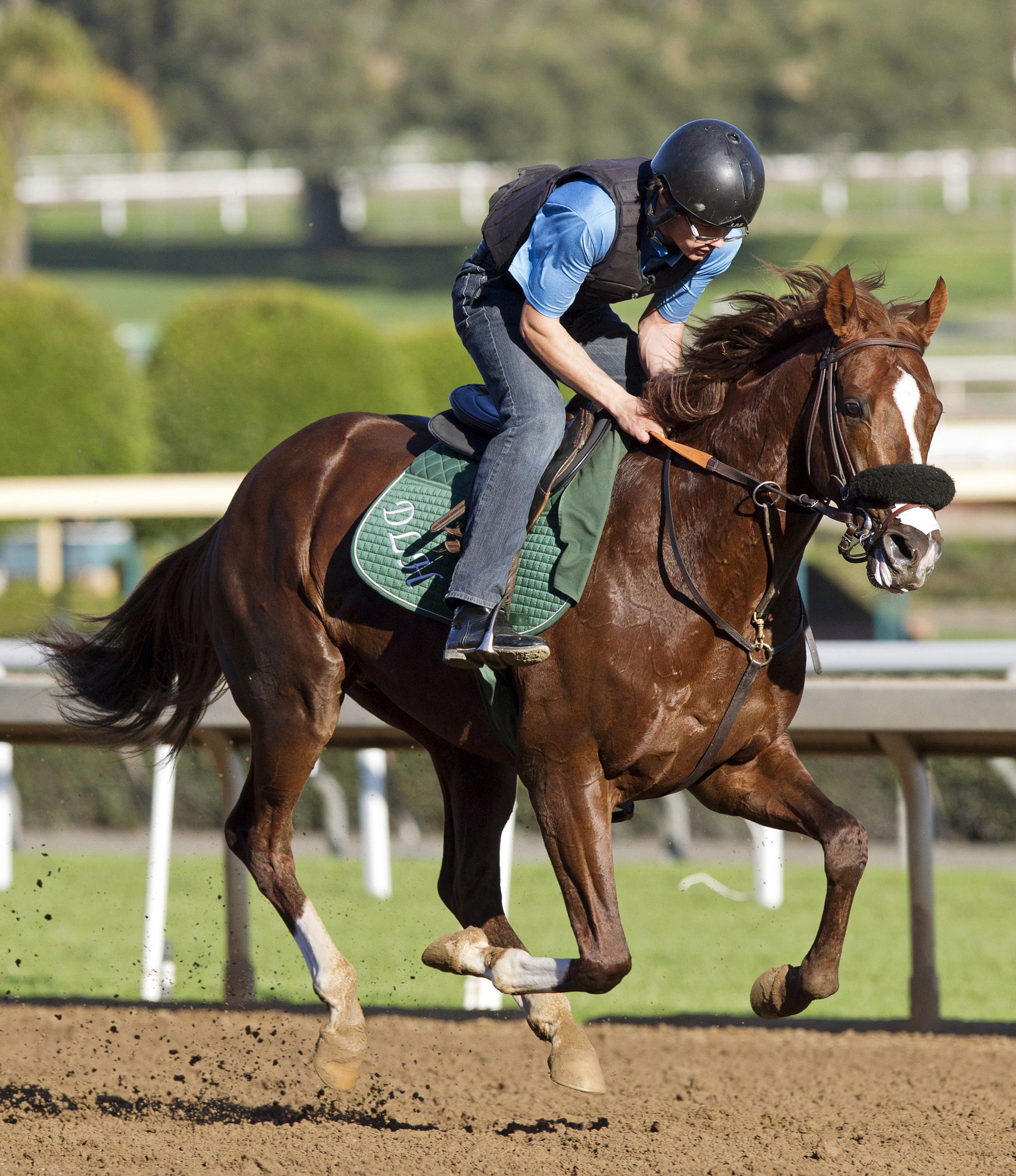 Om trains at Santa Anita on Feb. 11
