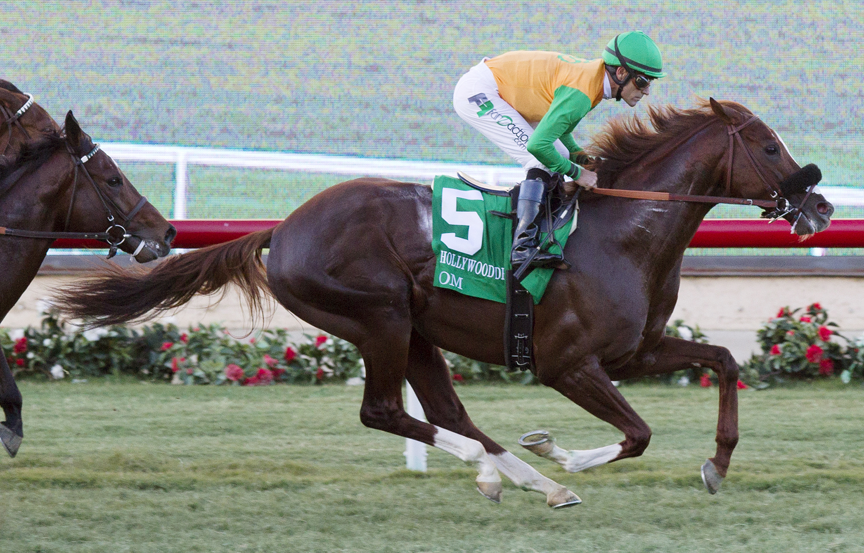 Om finishes third in the Hollywood Derby