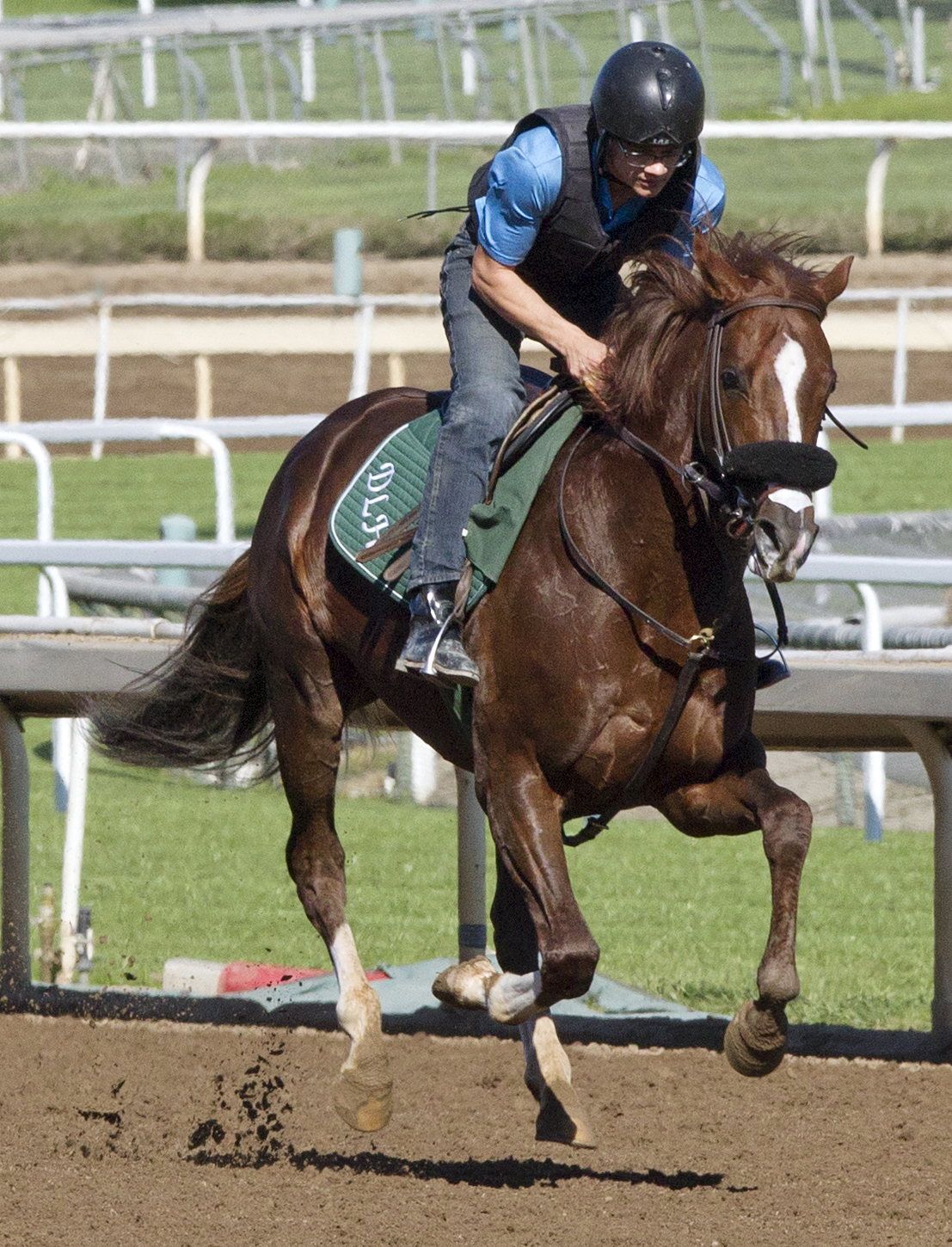 Om trains at Santa Anita on March 10