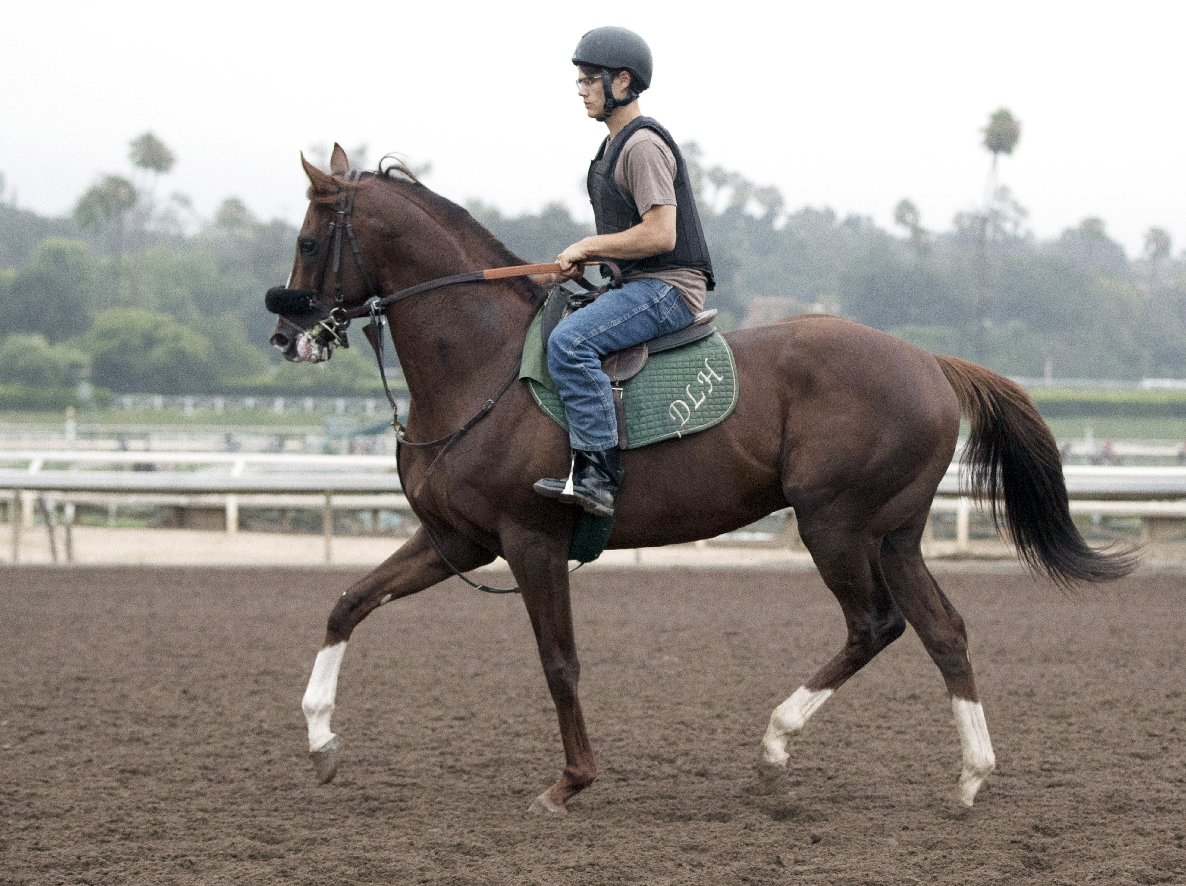 Om trains at Santa Anita on July 4