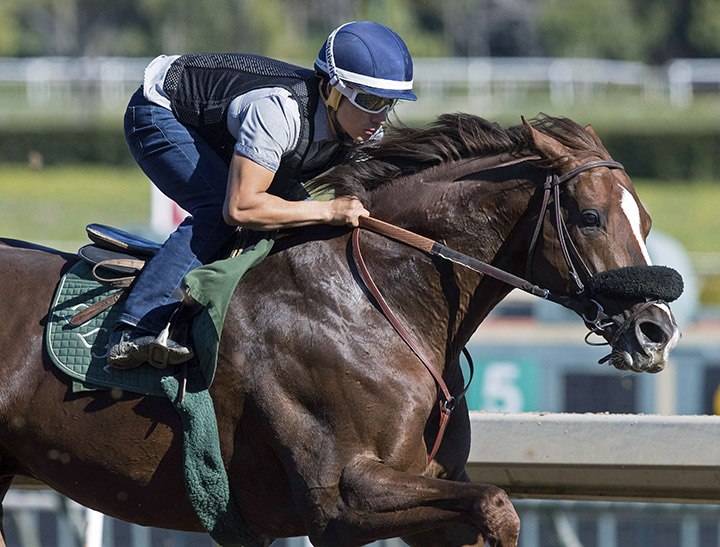 Om trains at Santa Anita in March 2018