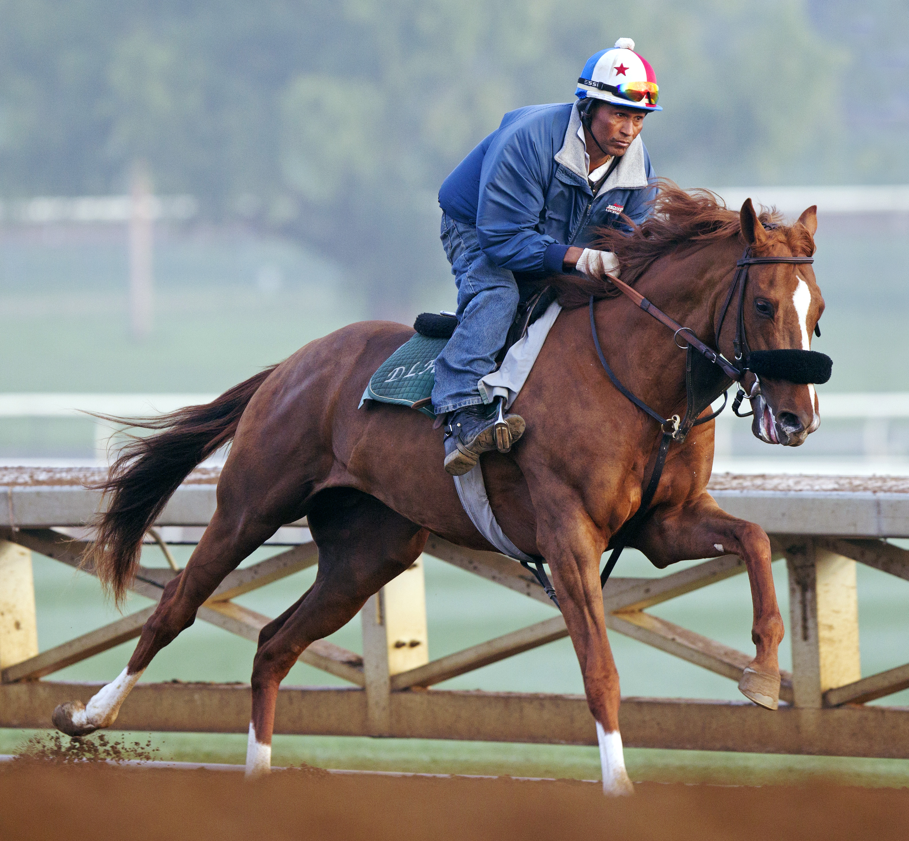 Om trains at Santa Anita in February