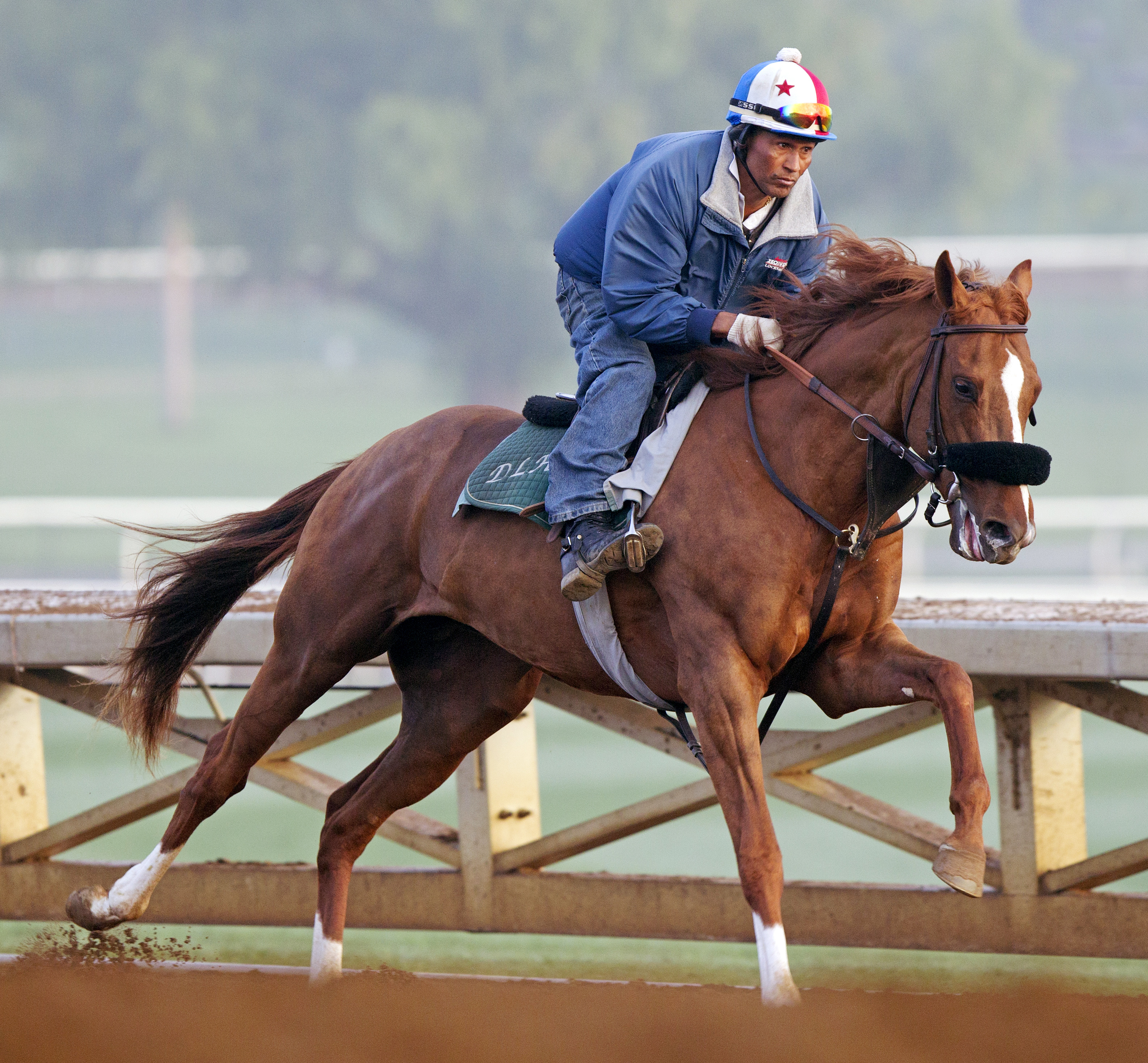 Om trains at Santa Anita in February