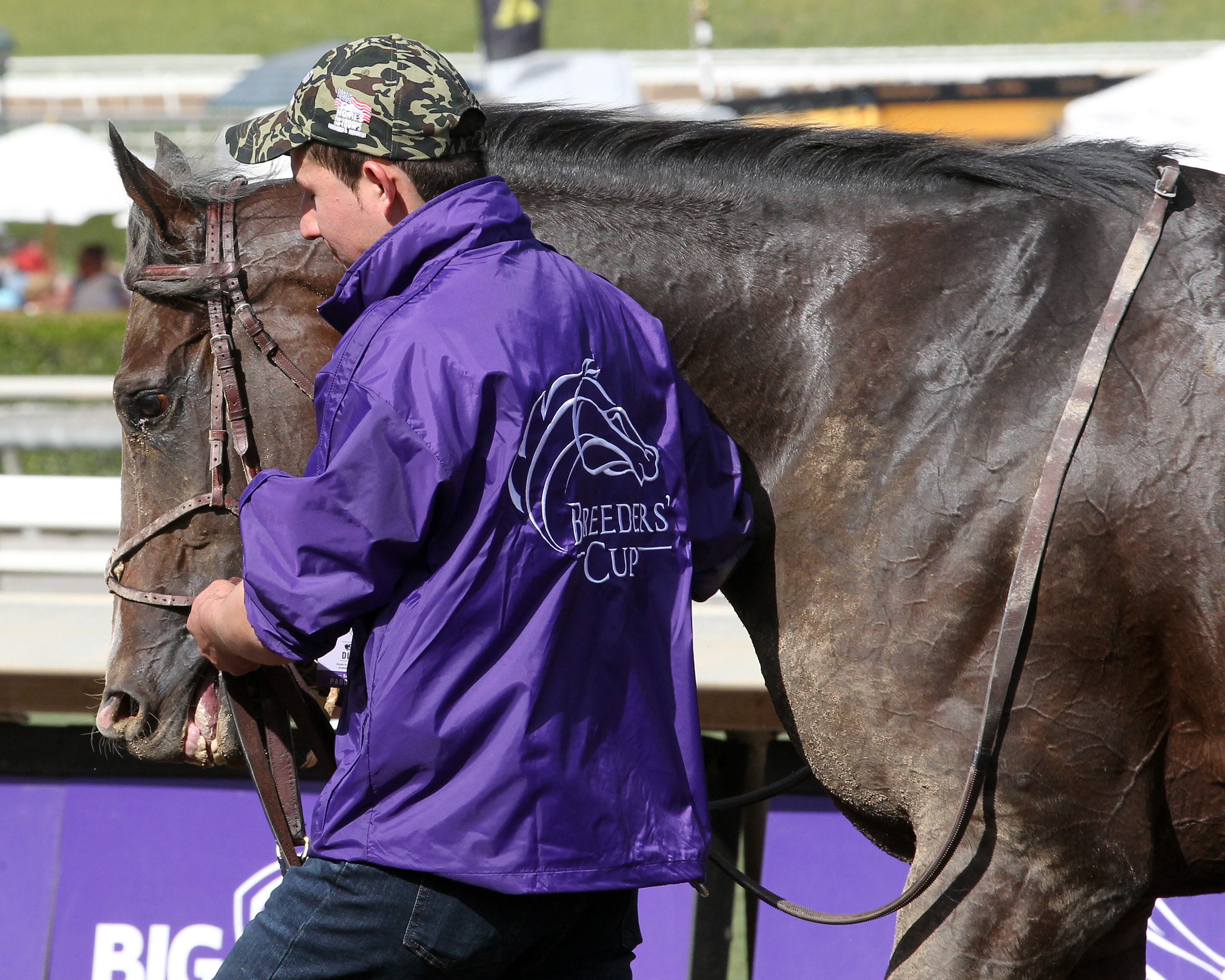 Omaha Beach following the 2019 BC Dirt Mile