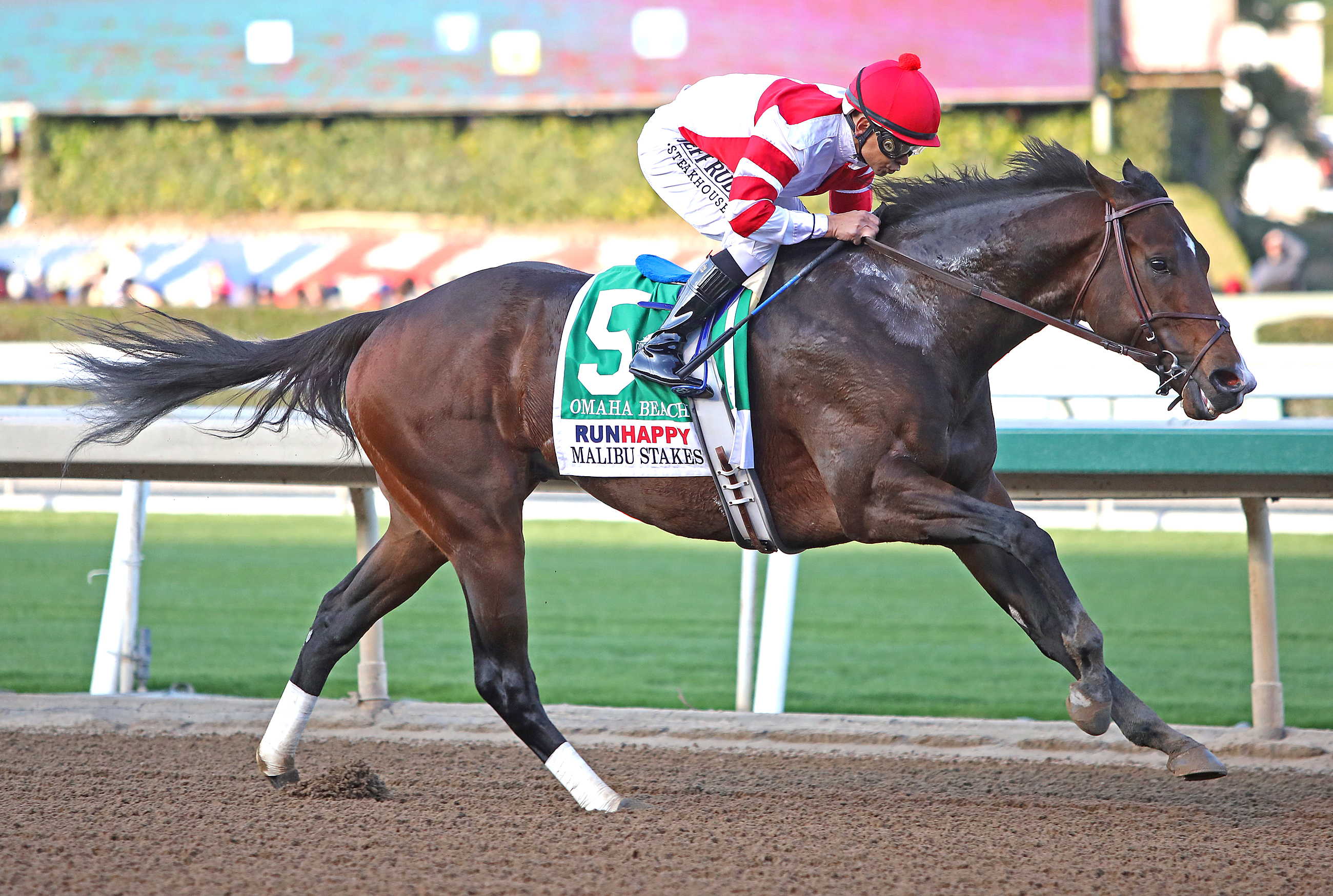 Omaha Beach wins the 2019 Malibu Stakes