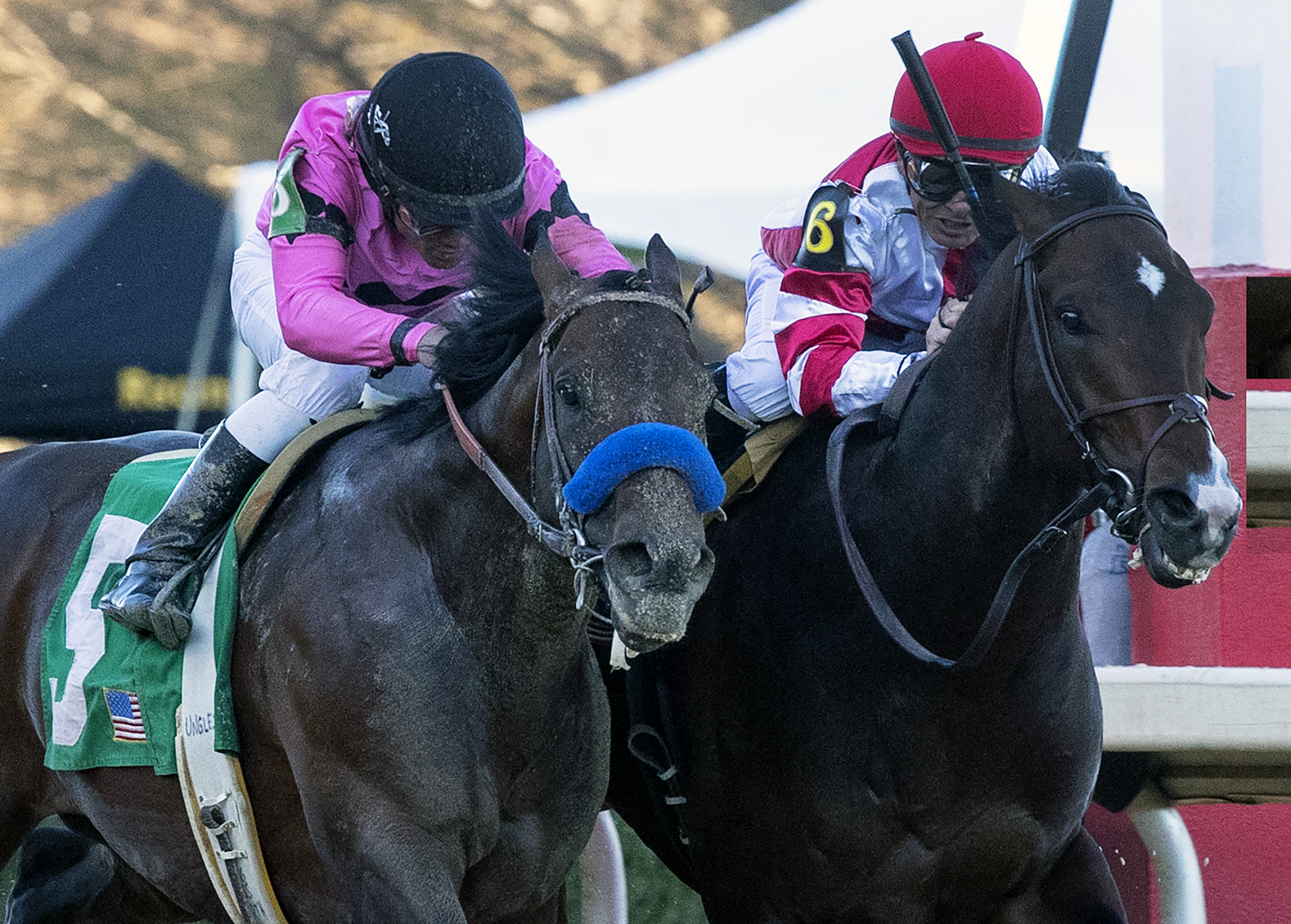 Omaha Beach wins 2019 Rebel (div 2)