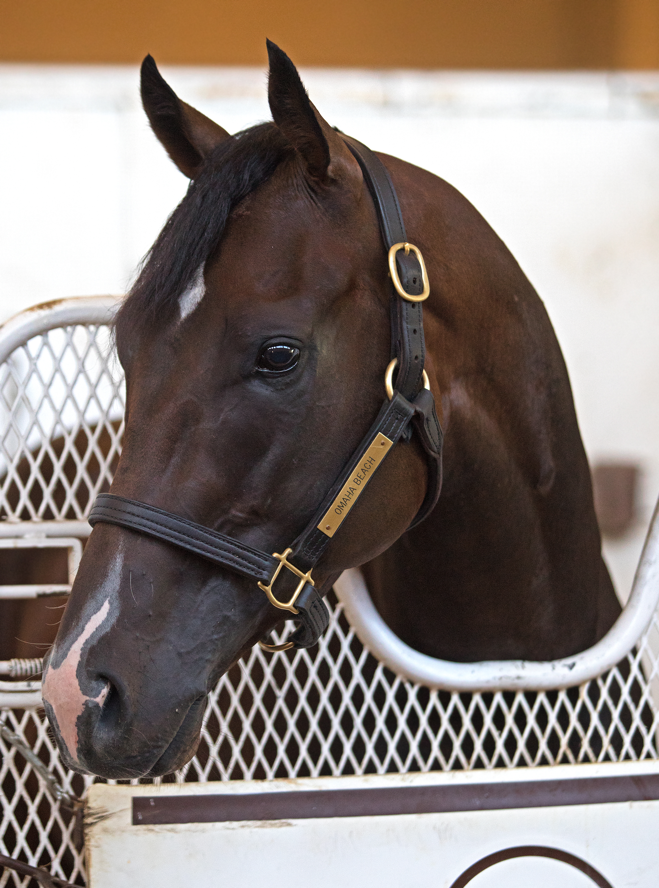 Omaha Beach at Del Mar on 8-17-2019.ESH