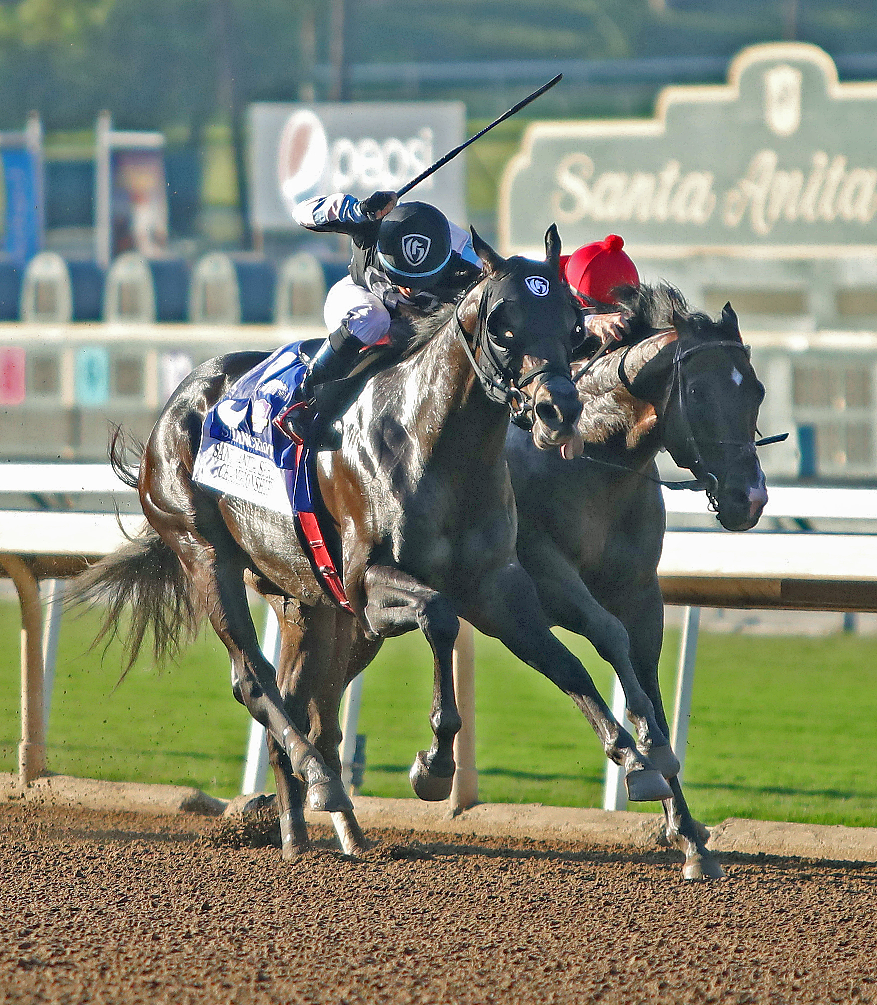 Omaha Beach (right) and Shancelot duel in the 2019 Santa Anita Sprint Championship