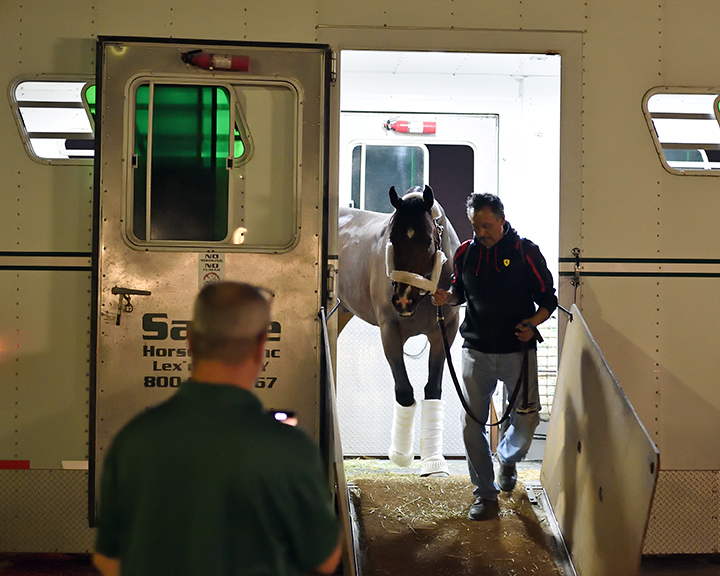 Omaha Beach arrives at Gulfstream Park