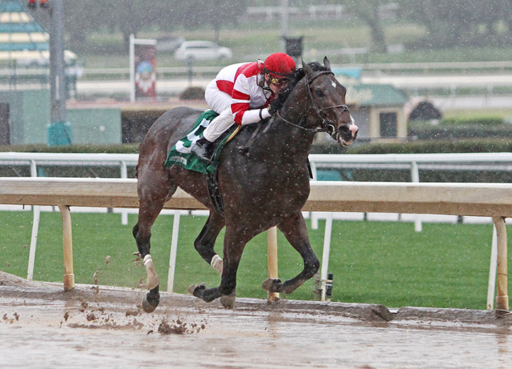 Omaha Beach wins a Feb. 2 maiden race
