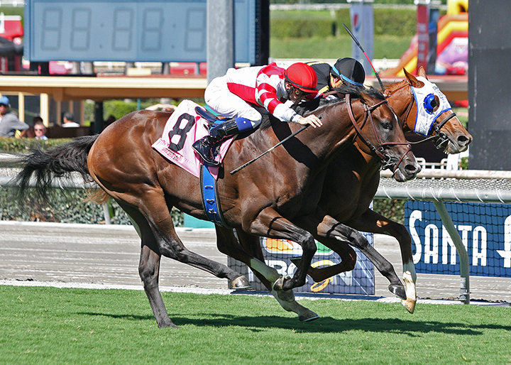 Omaha Beach finishes second to Flying Scotsman in a Sept. 29 maiden race