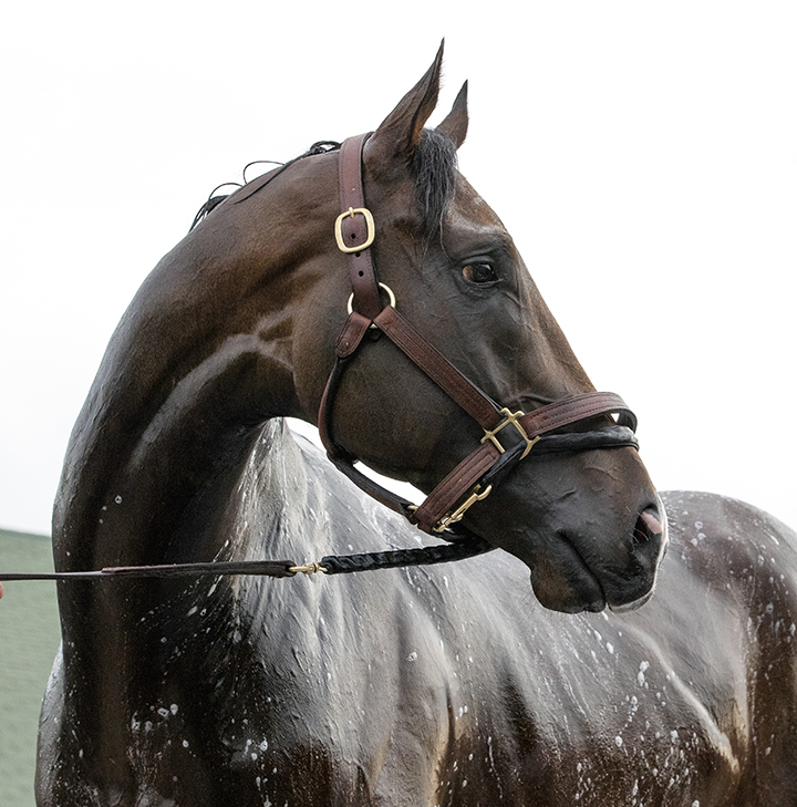 Omaha Beach at Churchill Downs on May 1