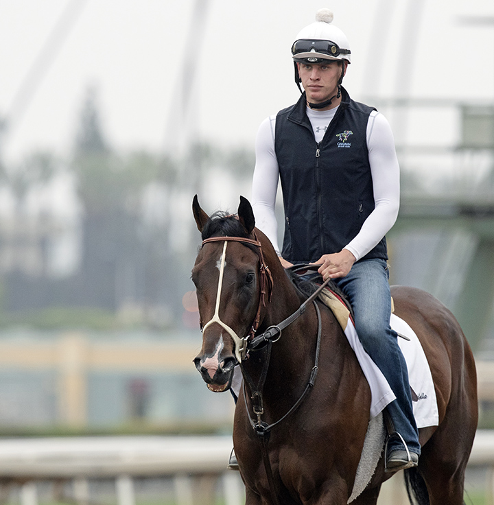 Omaha Beach trains at Santa Anita on June 20